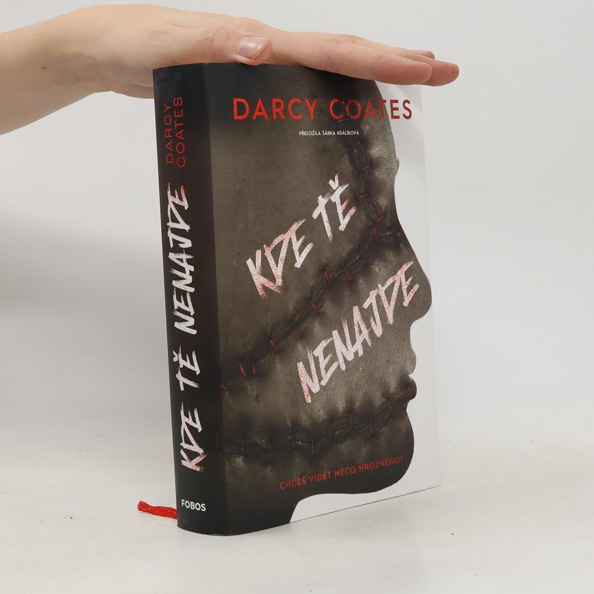 Darcy Coates Kde tě nenajde