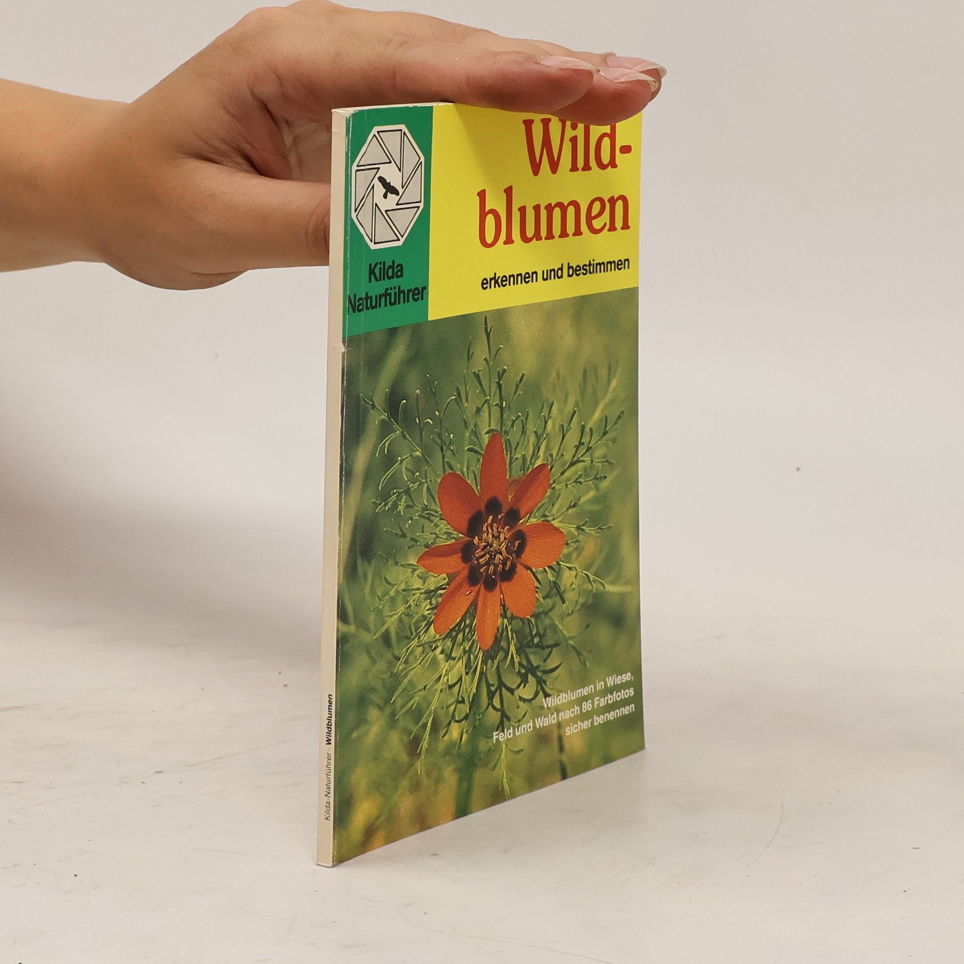 AA.VV. Wildblumen. Erkennen und Bestimmen
