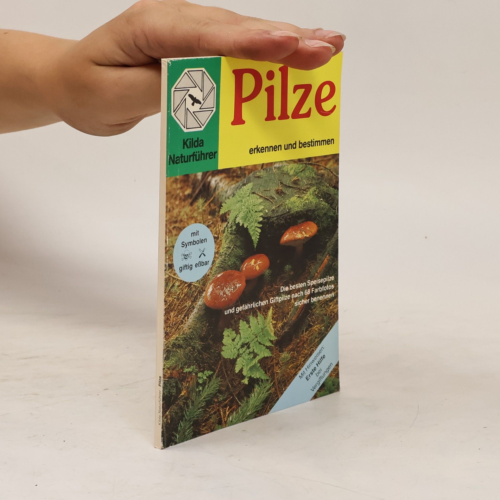 Autorenkollektiv Pilze erkennen und bestimmen