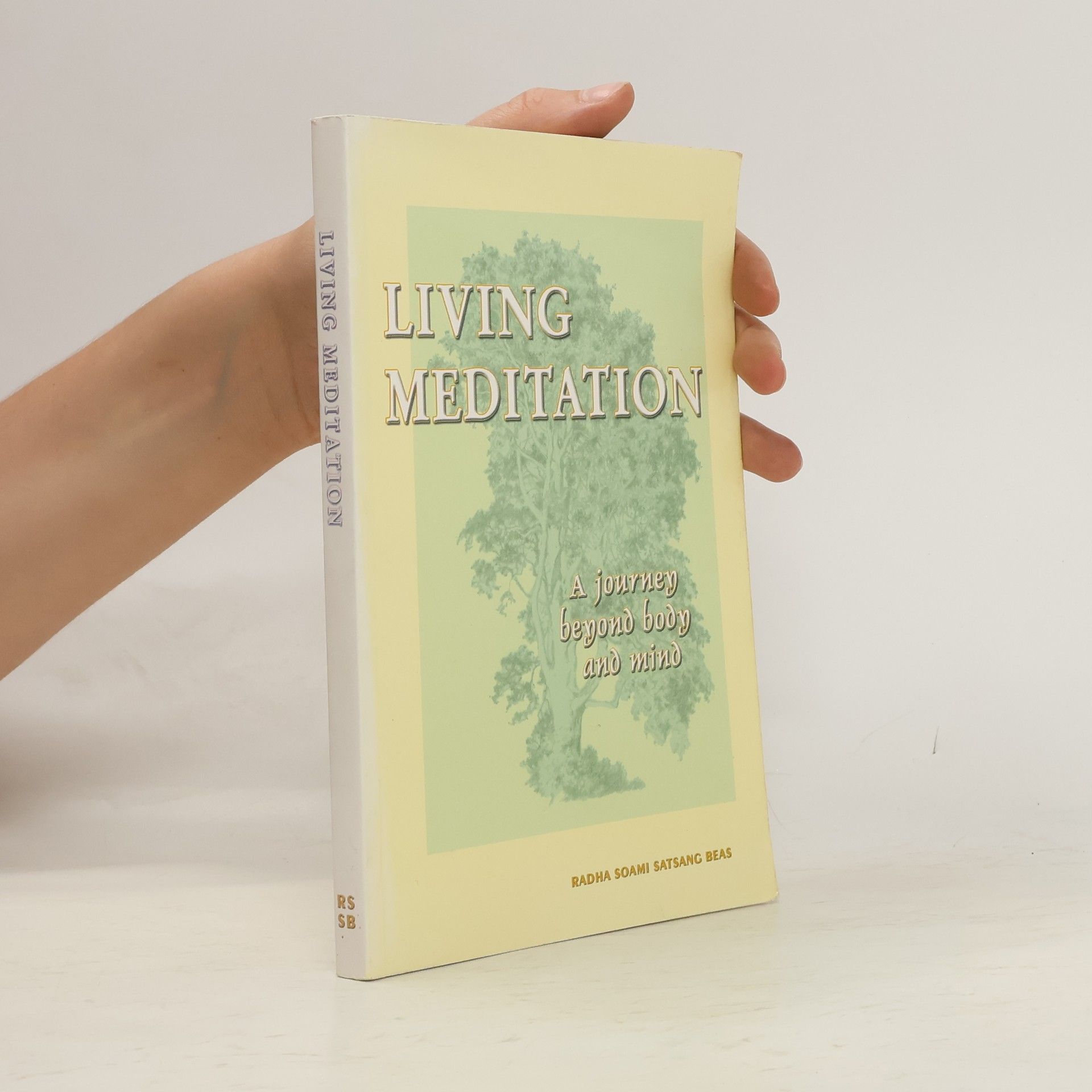 Hector Esponda Dubin Living Meditation