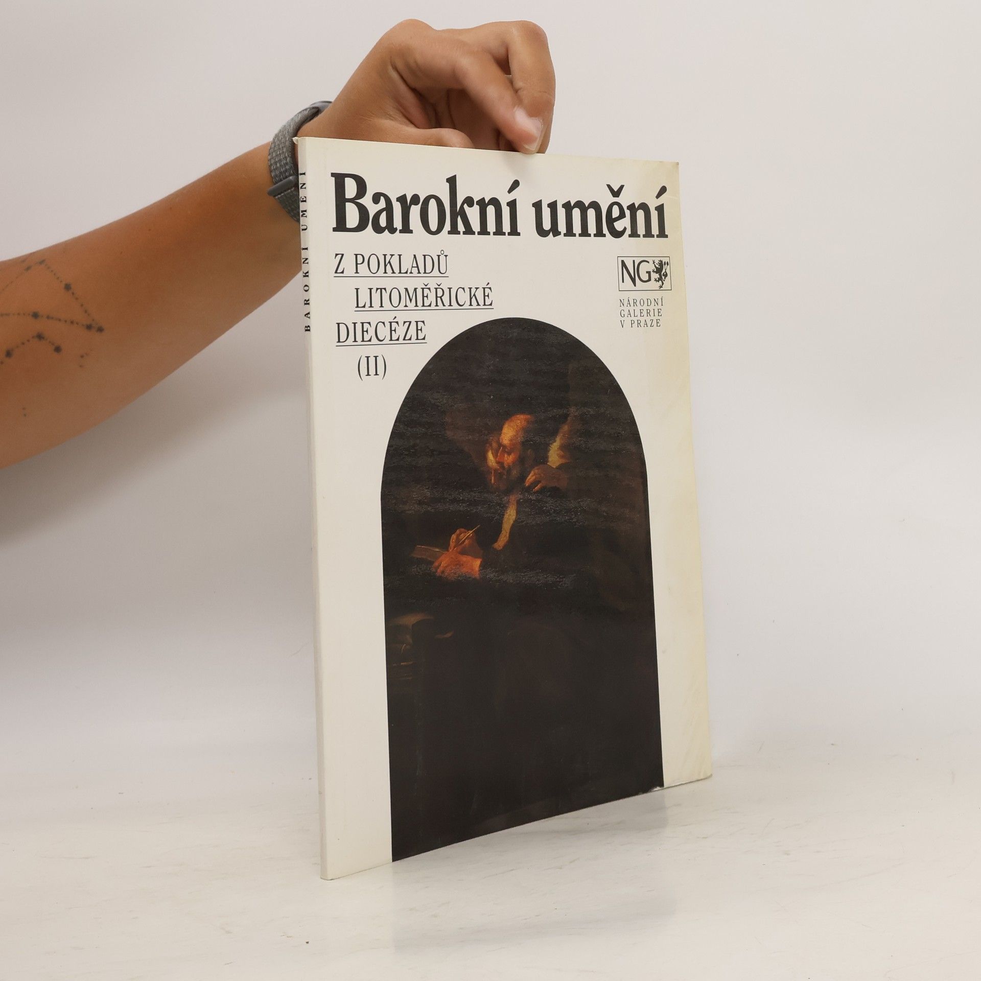 Lubomír Slavíček Barokní umění. Z pokladů litoměřické diecéze