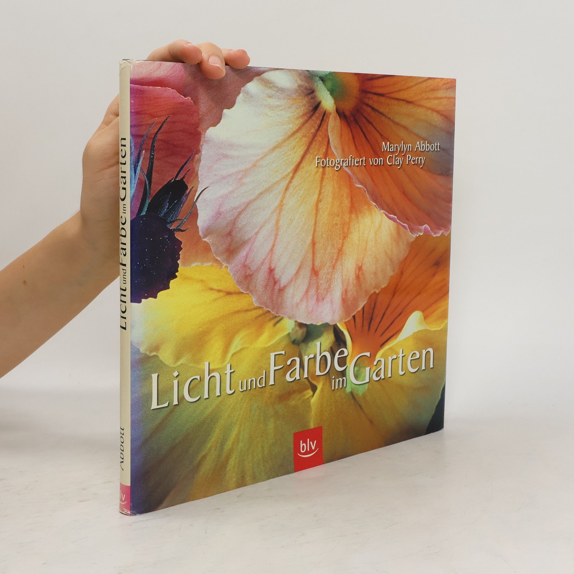 Marylyn Abbott Licht und Farbe im Garten