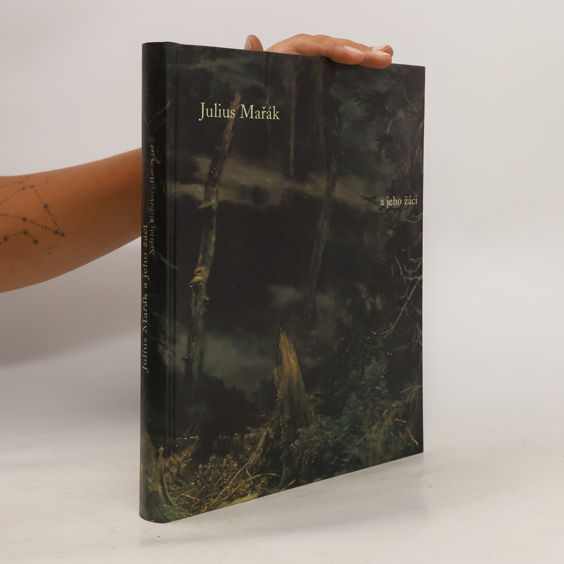 Naděžda Blažíčková-Horová Julius Mařák a jeho žáci