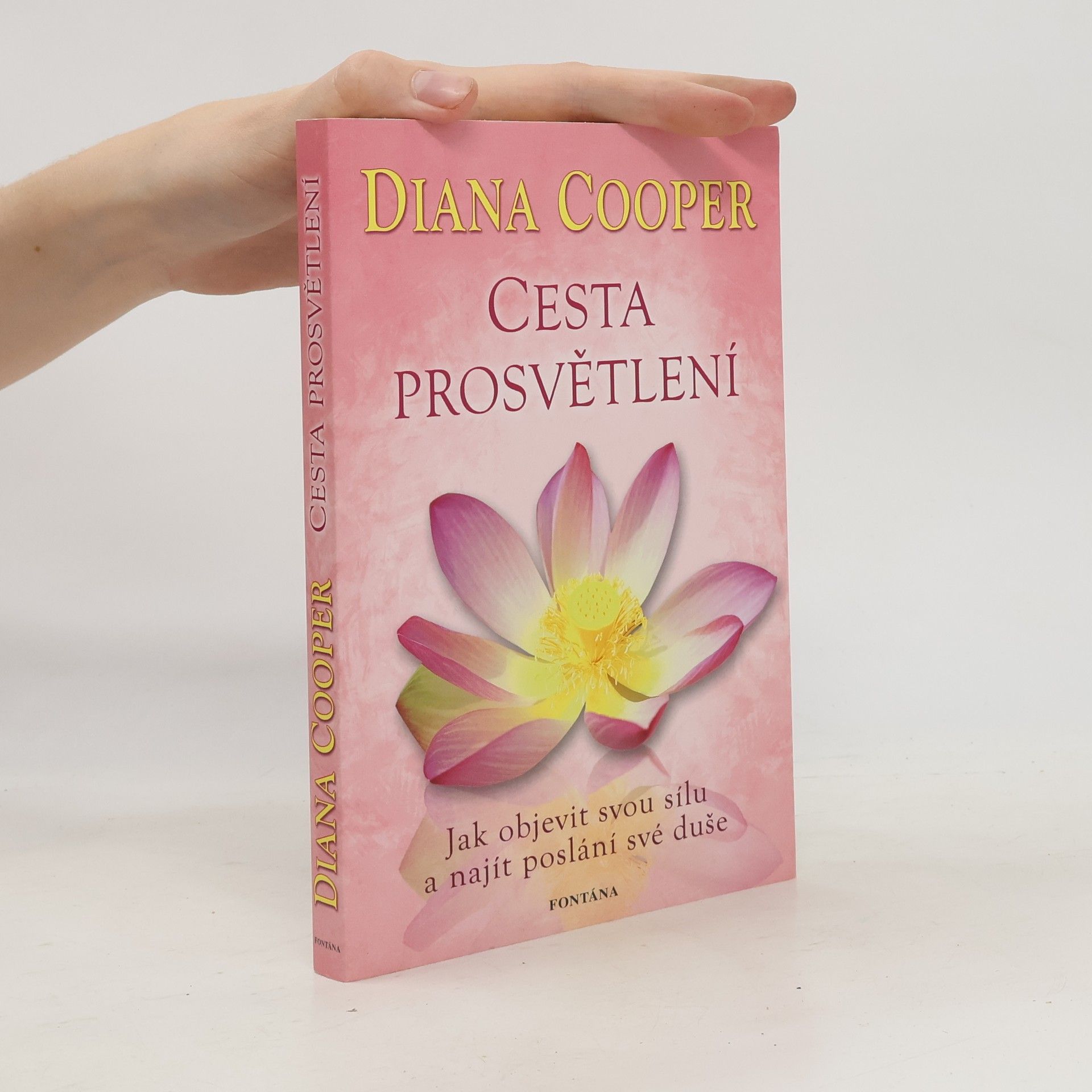 Diana Cooper Cesta prosvětlení : jak objevit svou sílu a najít poslání své duše