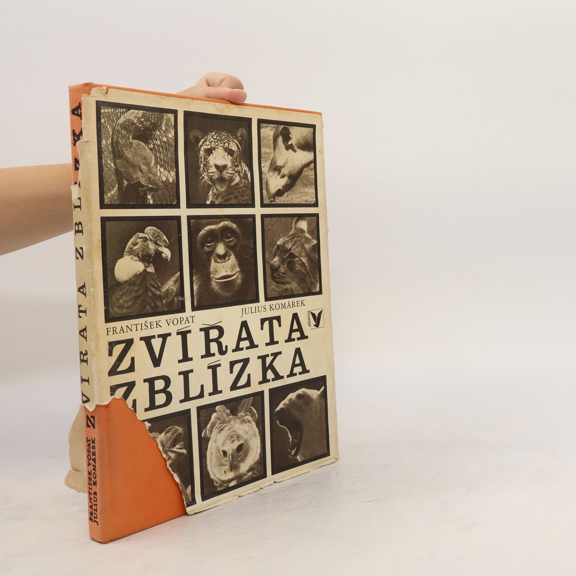 František Vopat Zvířata zblízka