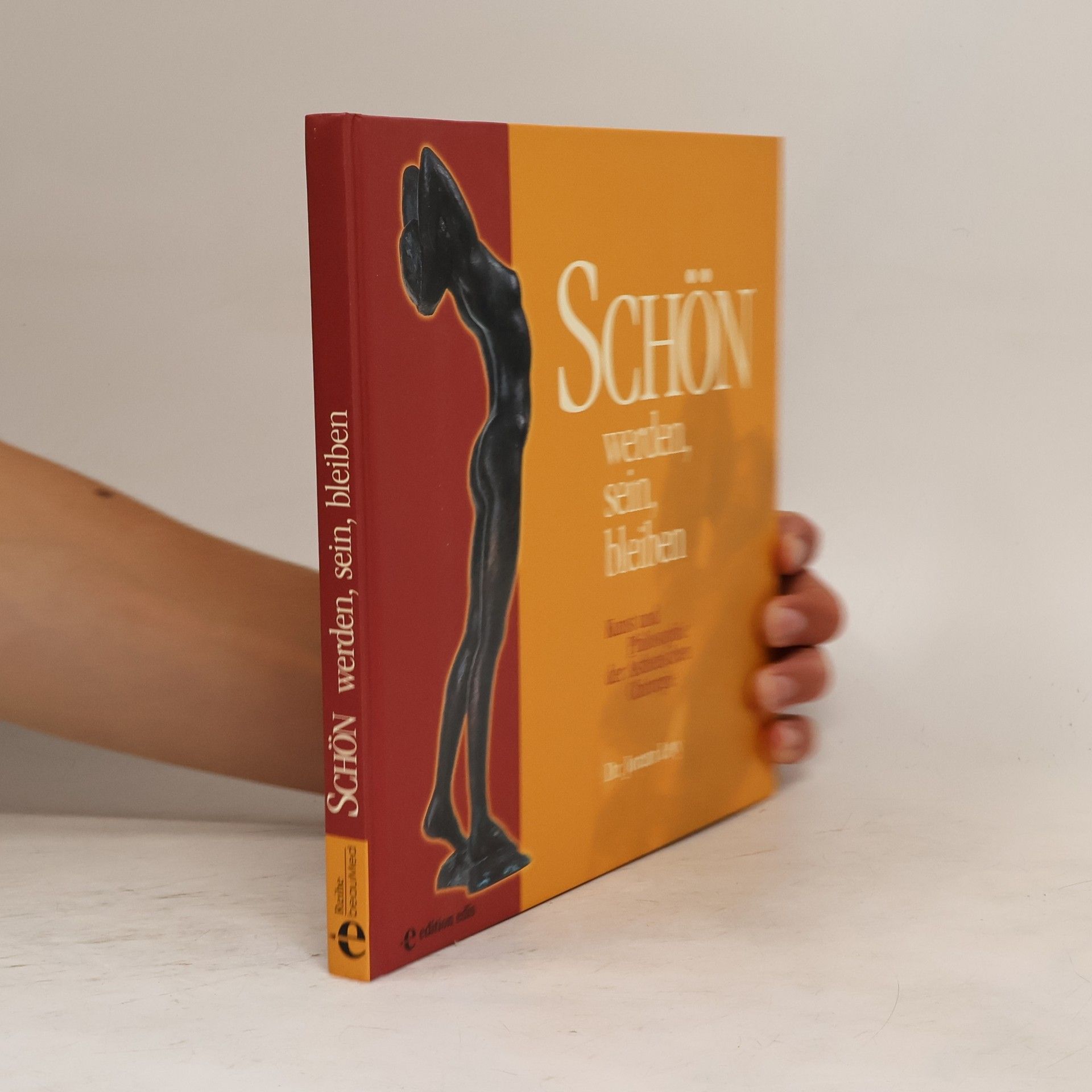 Joram Levy Schön werden, sein, bleiben