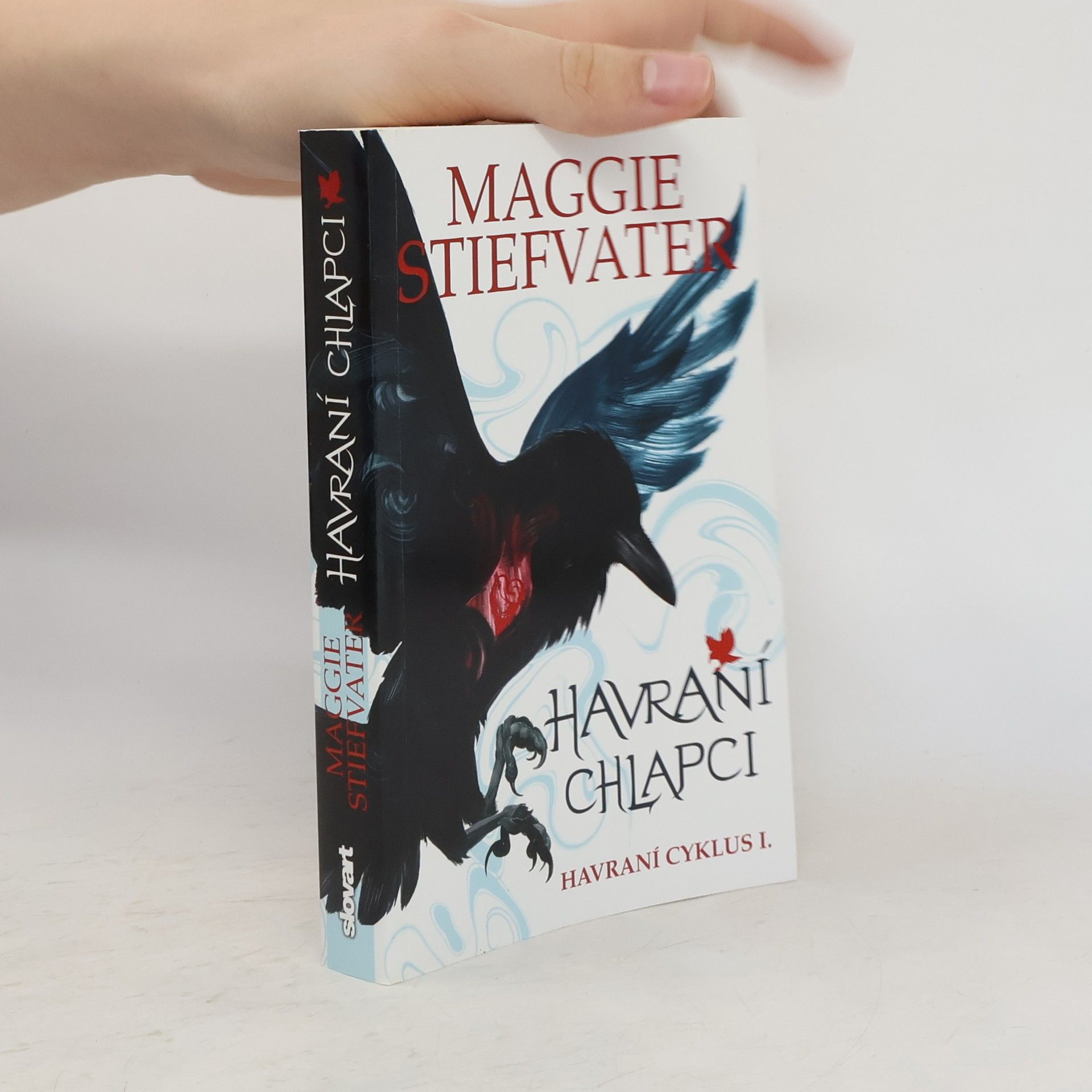 Maggie Stiefvater Havraní chlapci