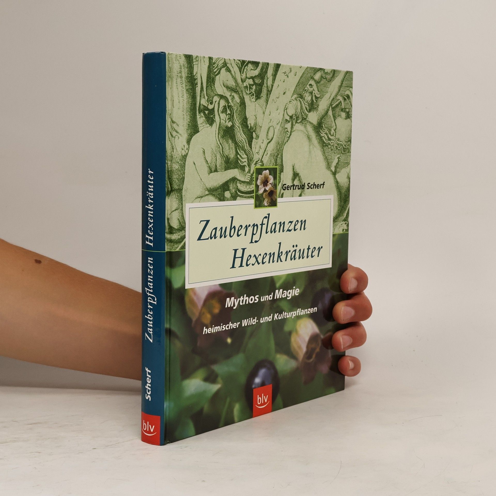 Gertrud Scherf Zauberpflanzen - Hexenkräuter
