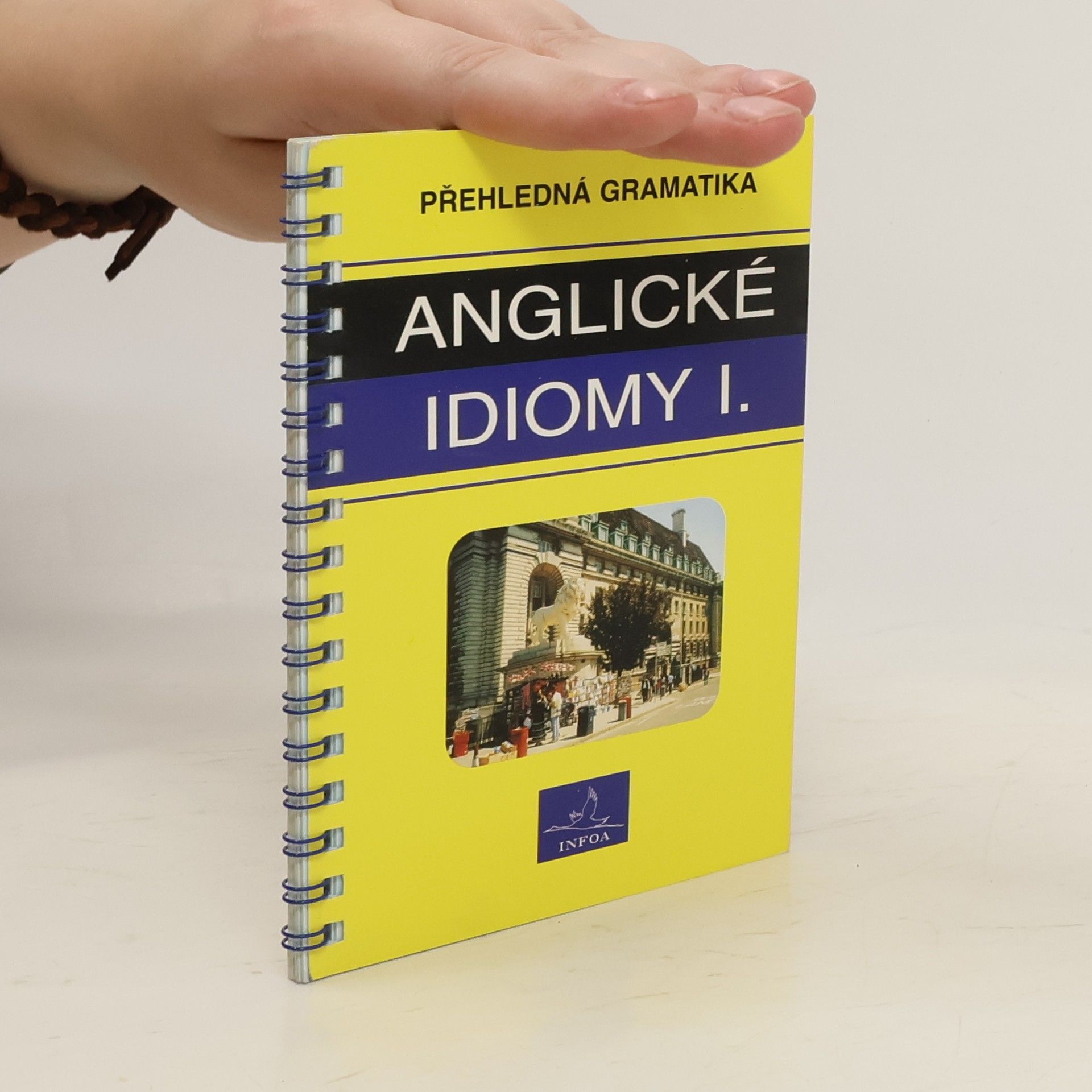 Asif Osmani Přehledná gramatika - anglické idiomy I.