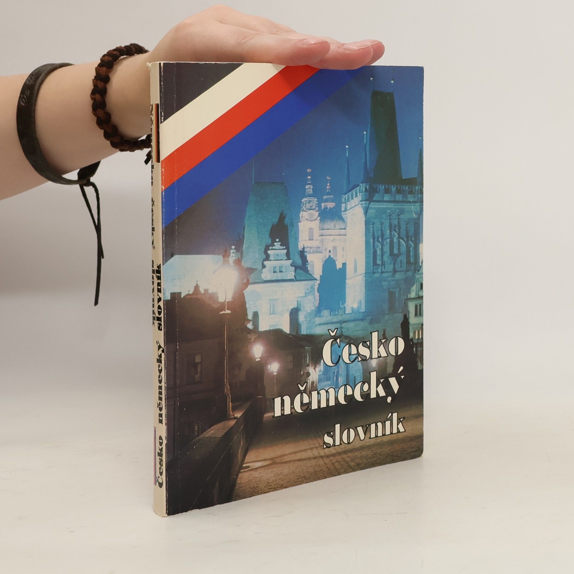 Collectif d'auteurs Česko-německý slovník