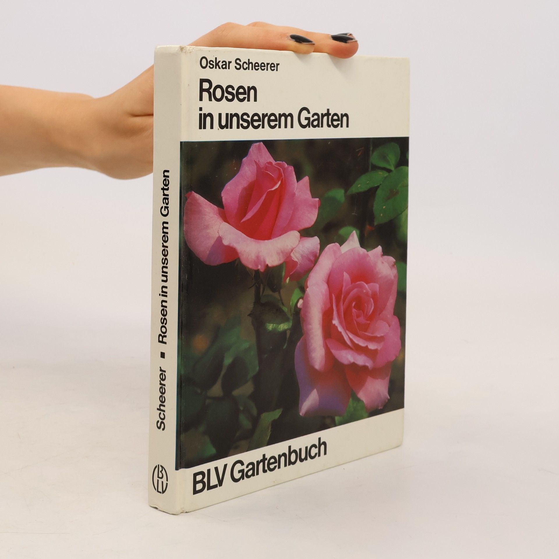 Oskar Scheerer Rosen in unserem Garten