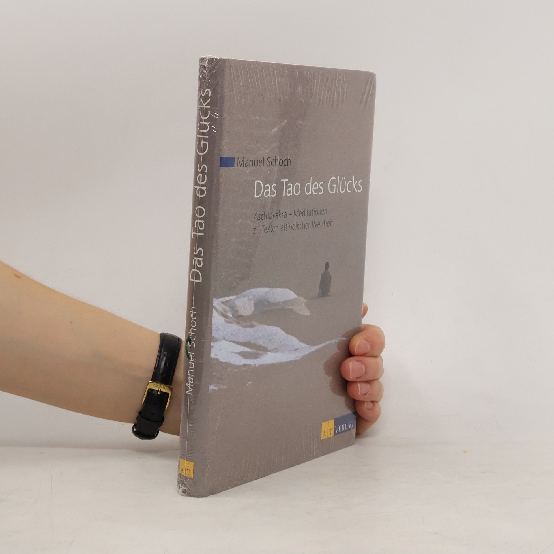 Manuel Schoch Das Tao des Glücks. Aschtavakra - Mediationen zu Texten altindischer Weisheit