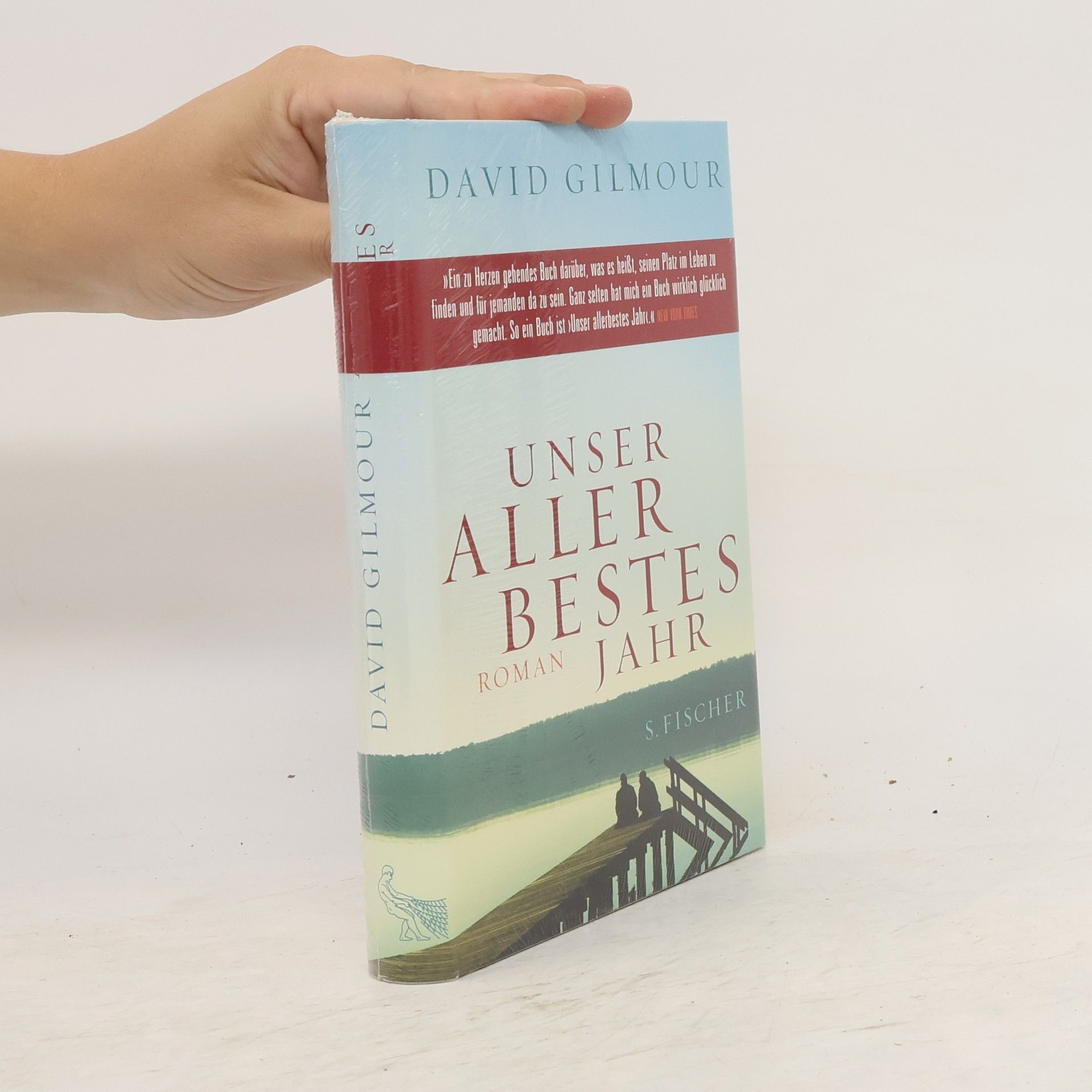 David Gilmour Unser allerbestes Jahr