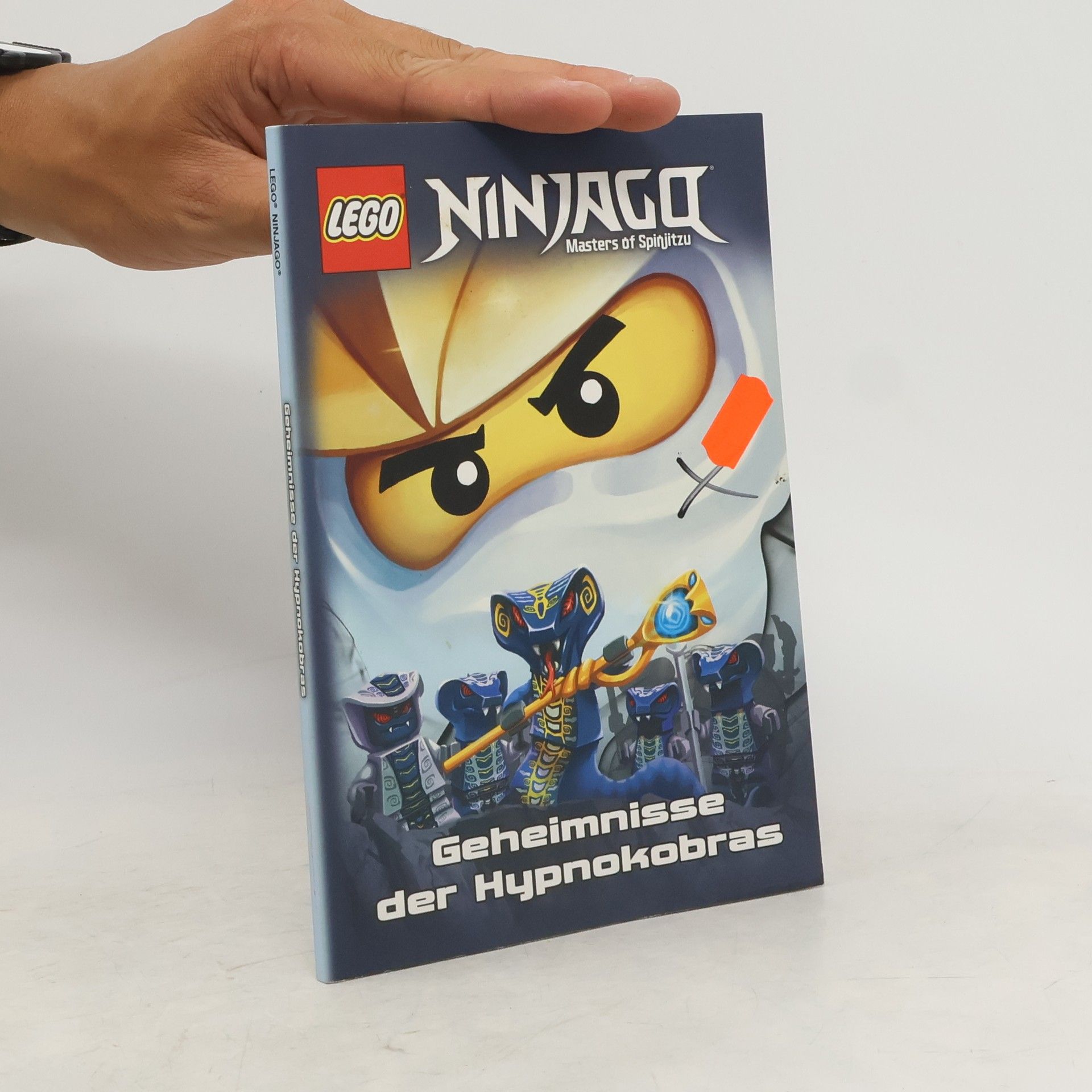 Kolektiv autorů LEGO Ninjago. Geheimnisse der Hypnokobras