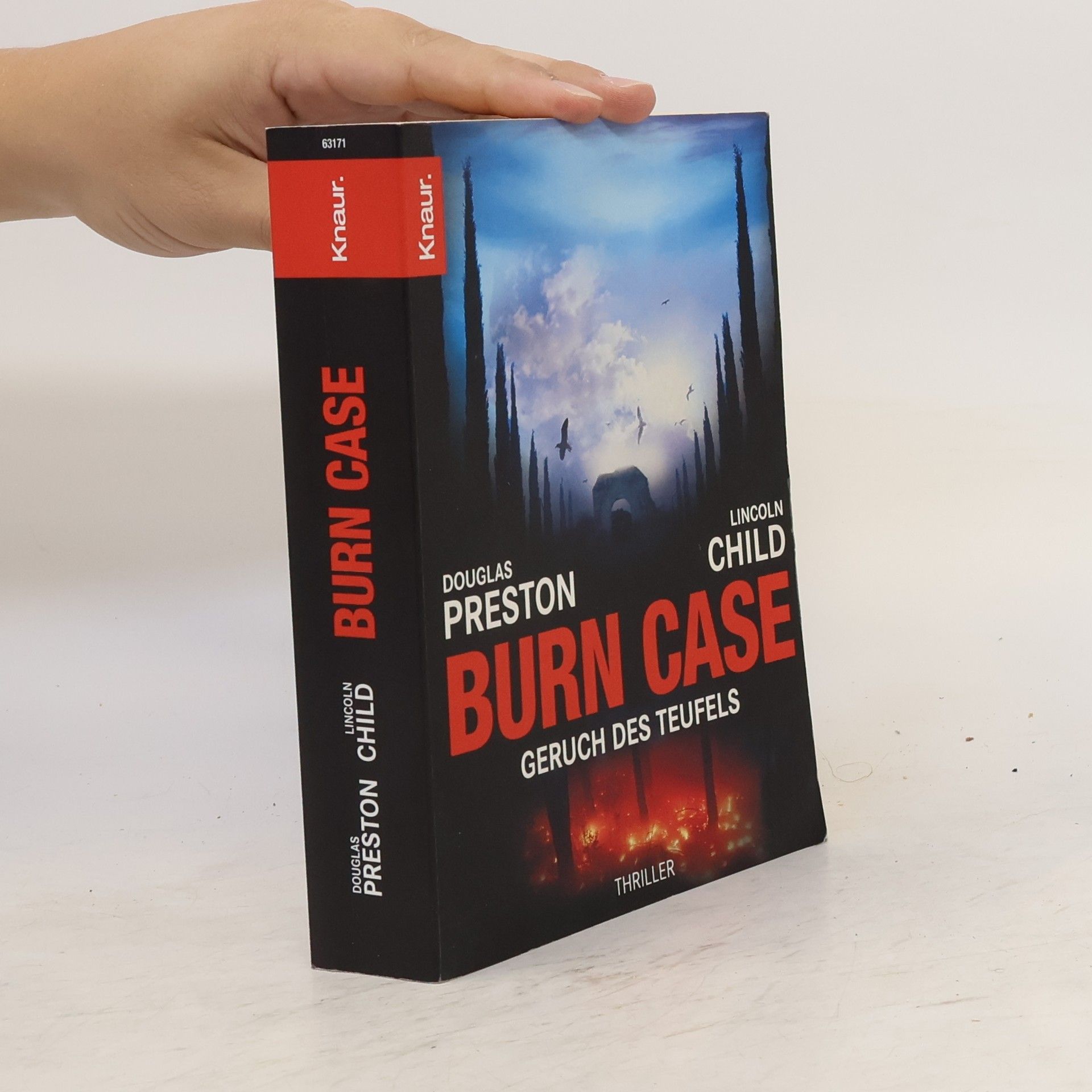 Lincoln Child Burn Case