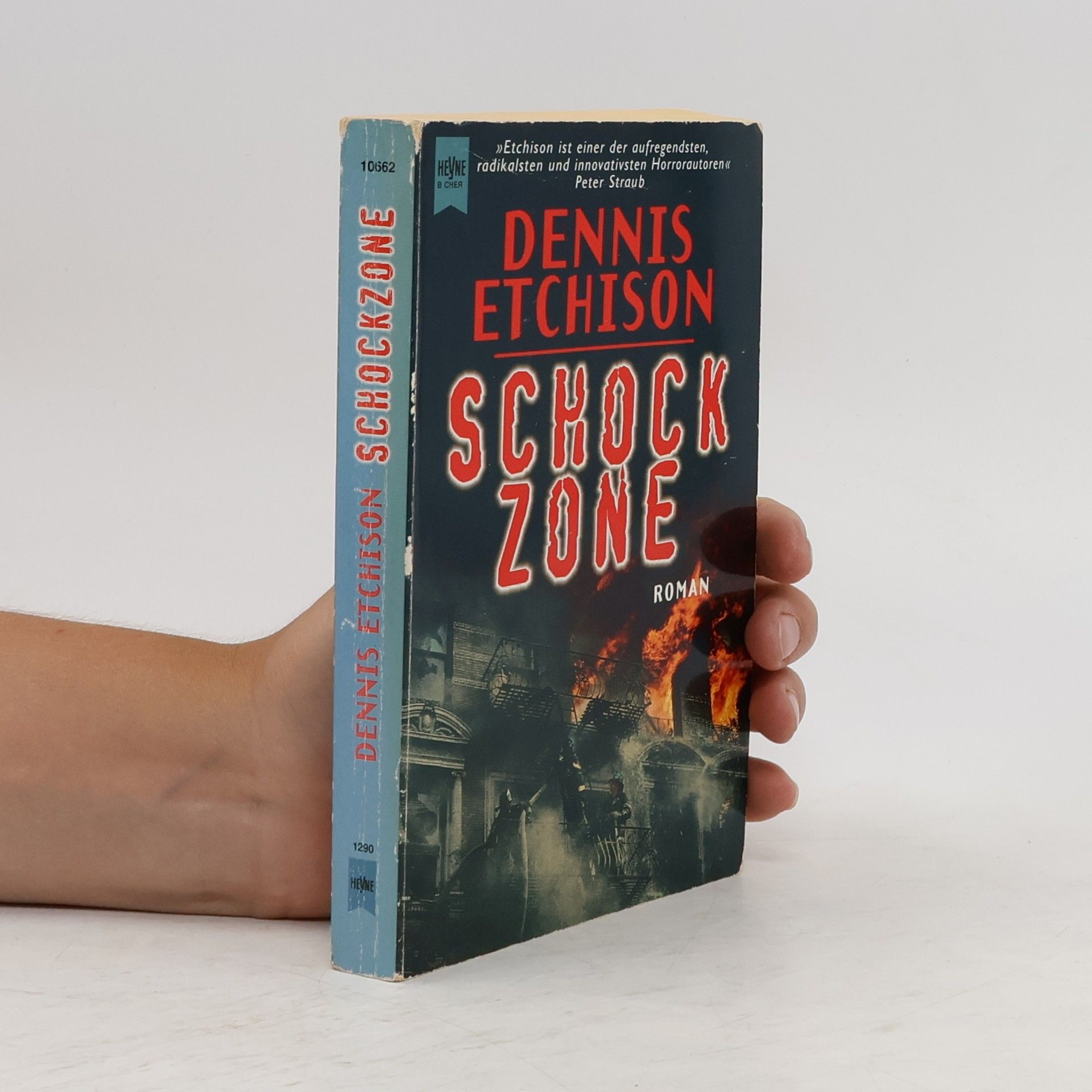 Dennis Etchison Schockzone.