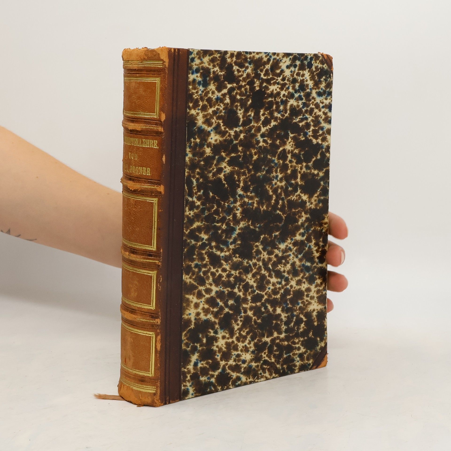 Louis Posner Handbuch der Klinischen Arzneimittellehre