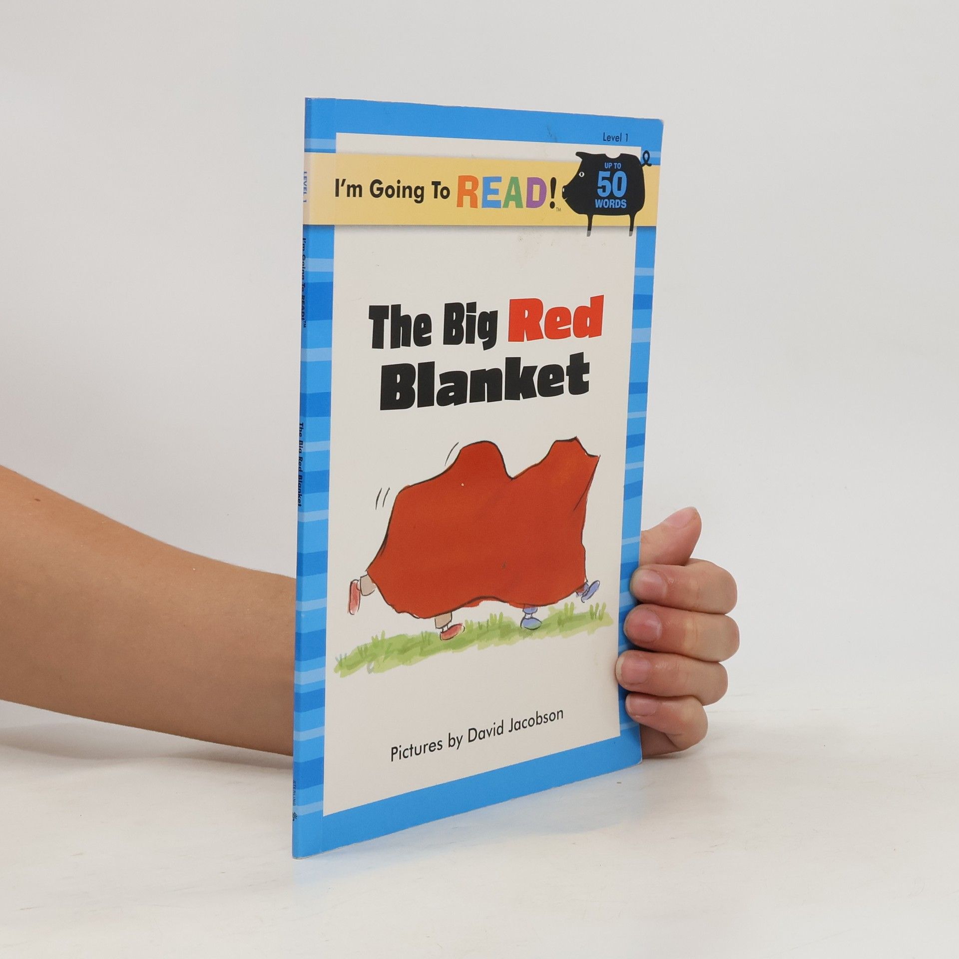 David Jacobson The Big Red Blanket