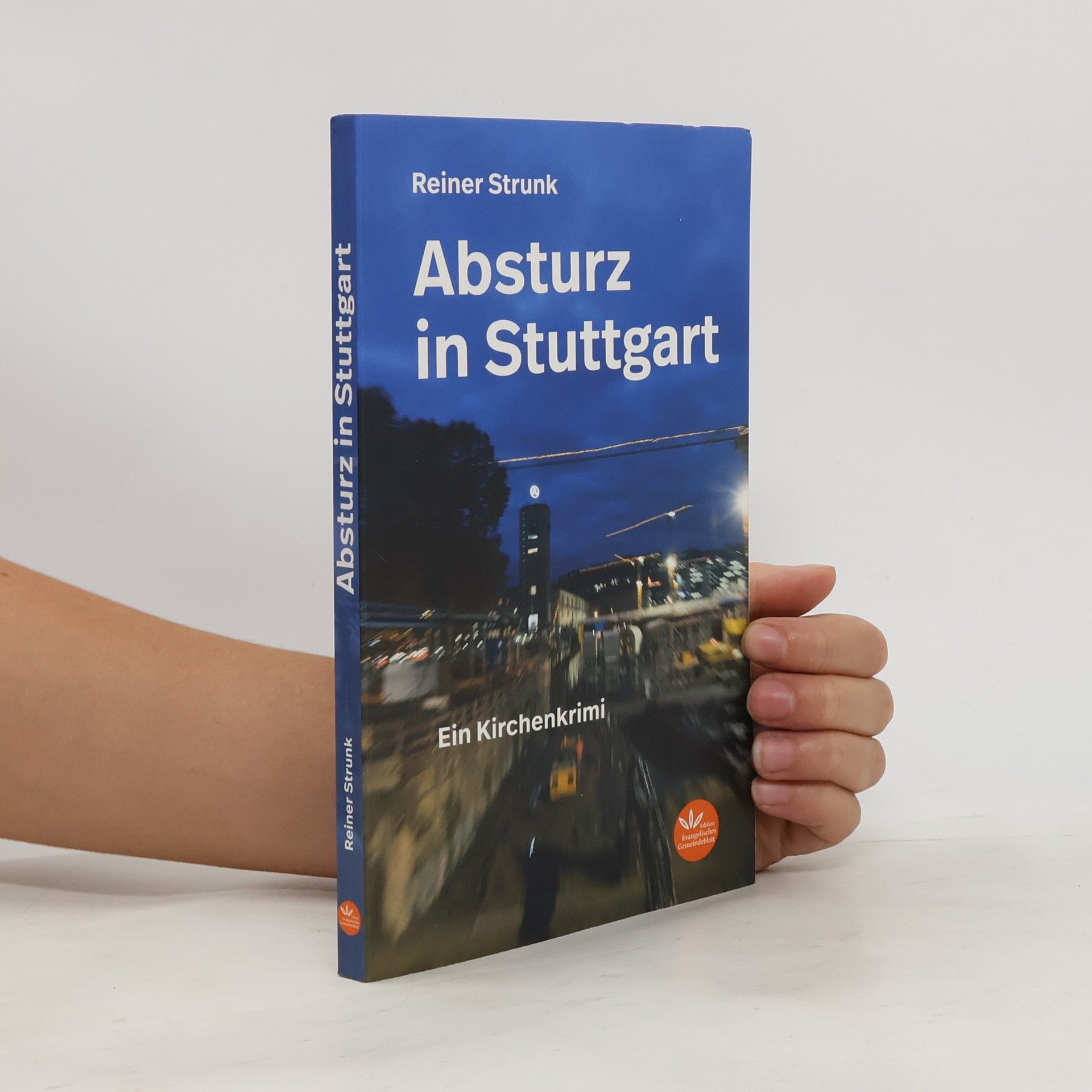 Reiner Strunk Absturz in Stuttgart