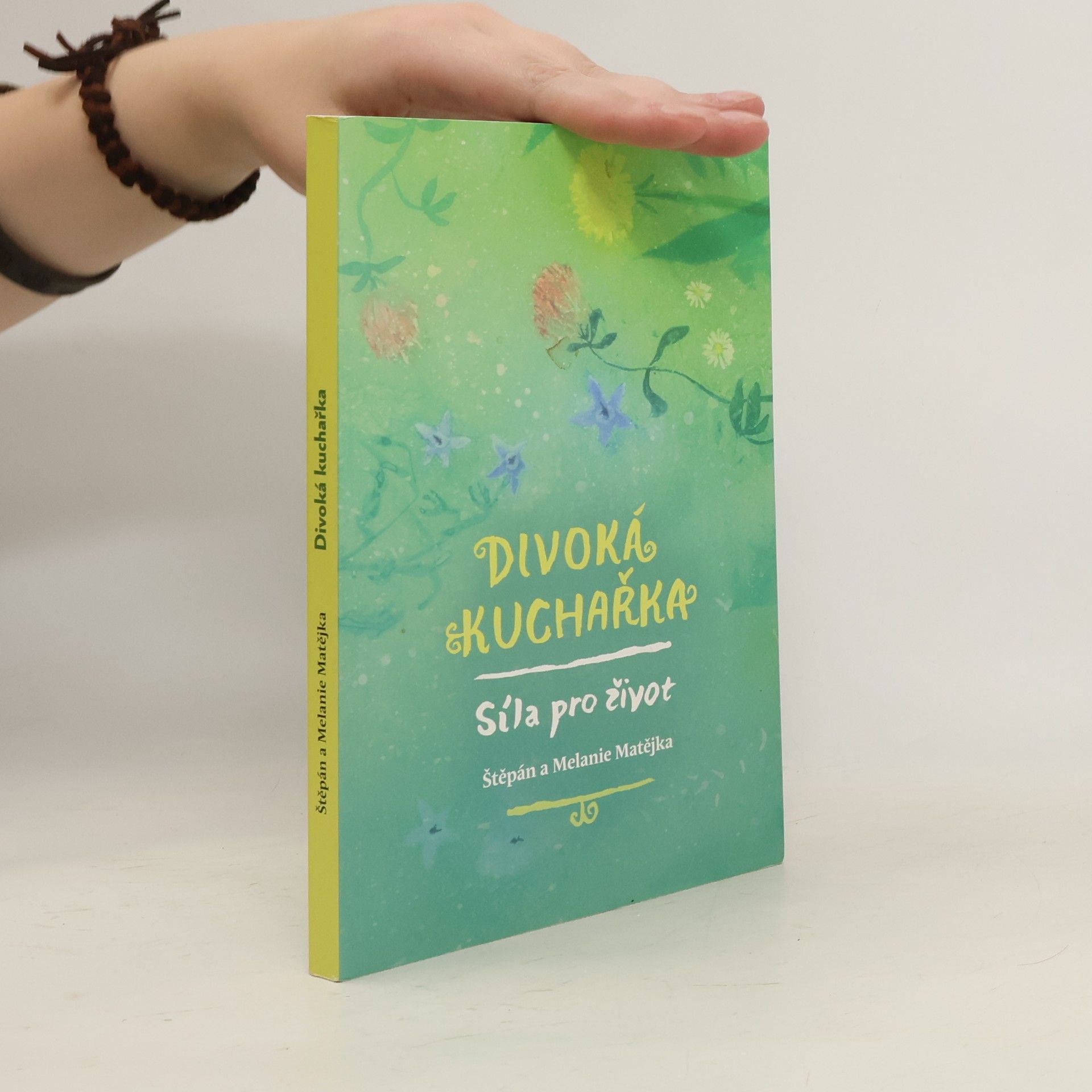 Štěpán Matějka Divoká kuchařka