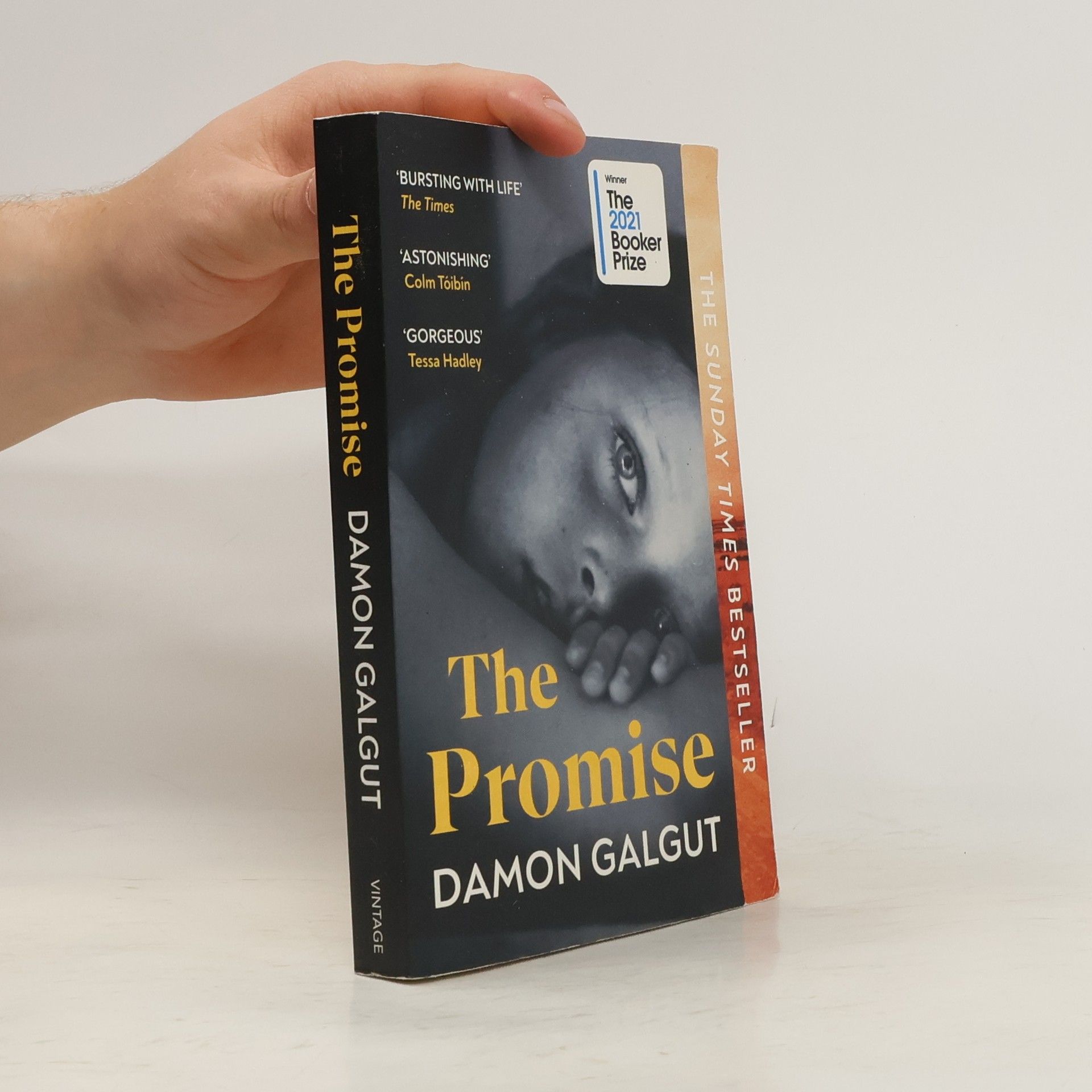 Damon Galgut The Promise