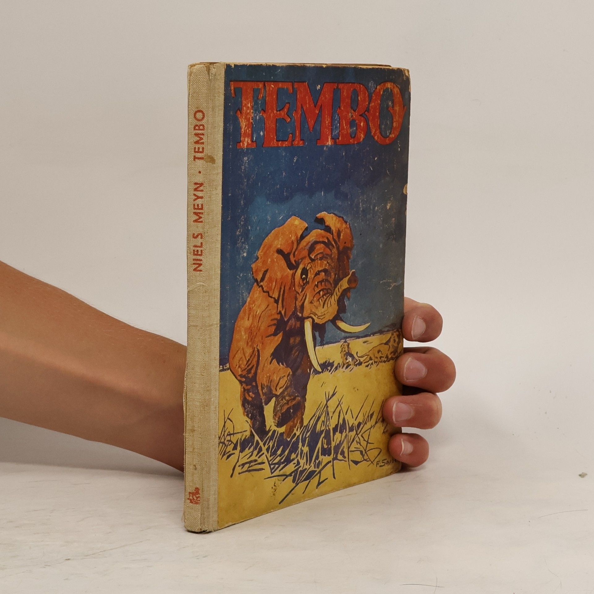 Niels Meyn Tembo