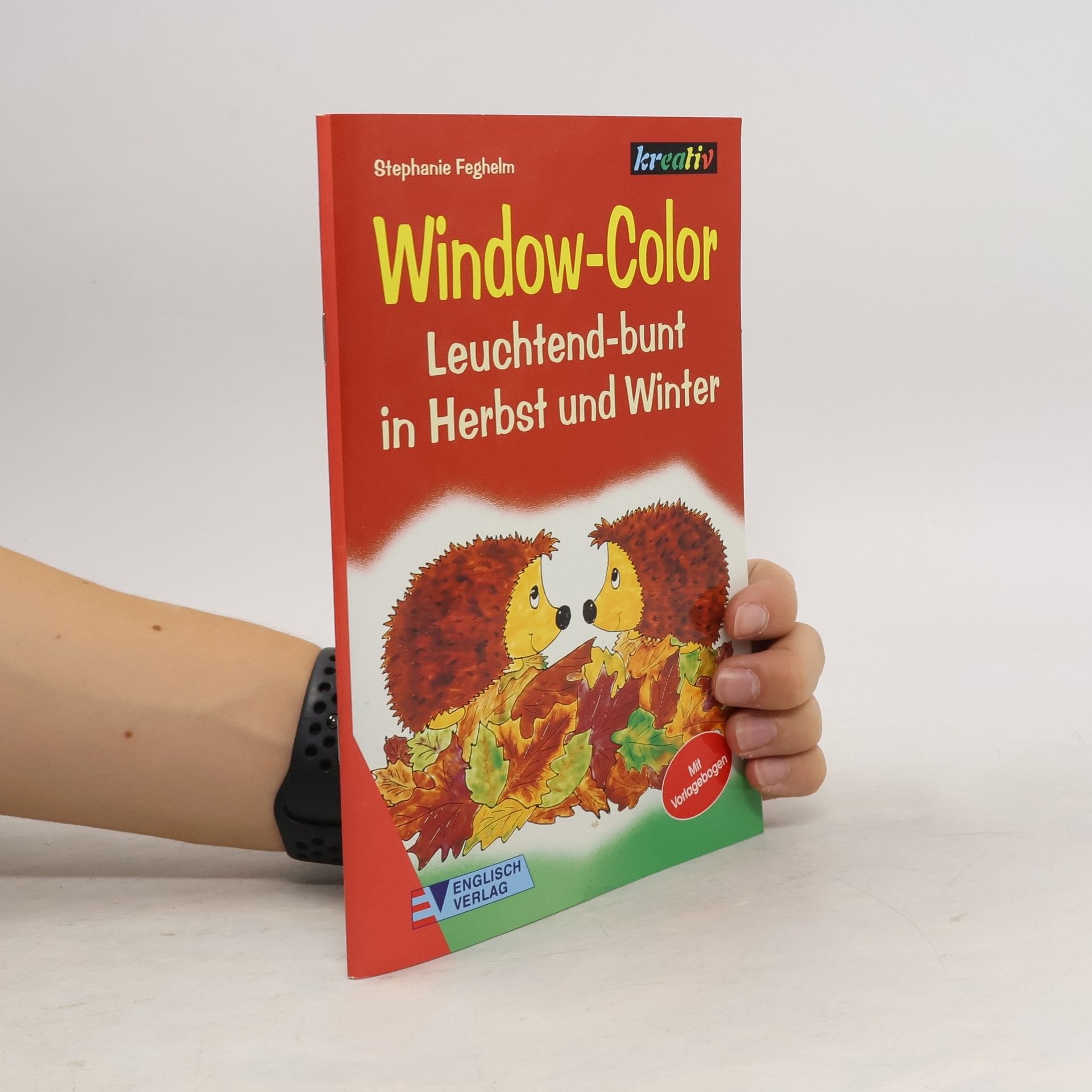 Kolektiv autorů Window Color - leuchtend bunt in Herbst und Winter