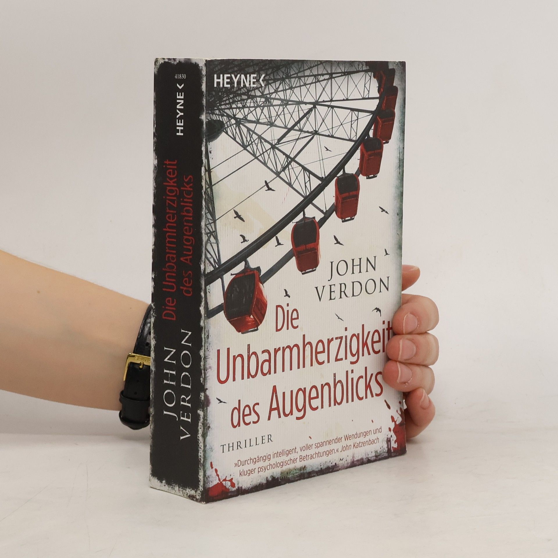 John Verdon Die Unbarmherzigkeit des Augenblicks