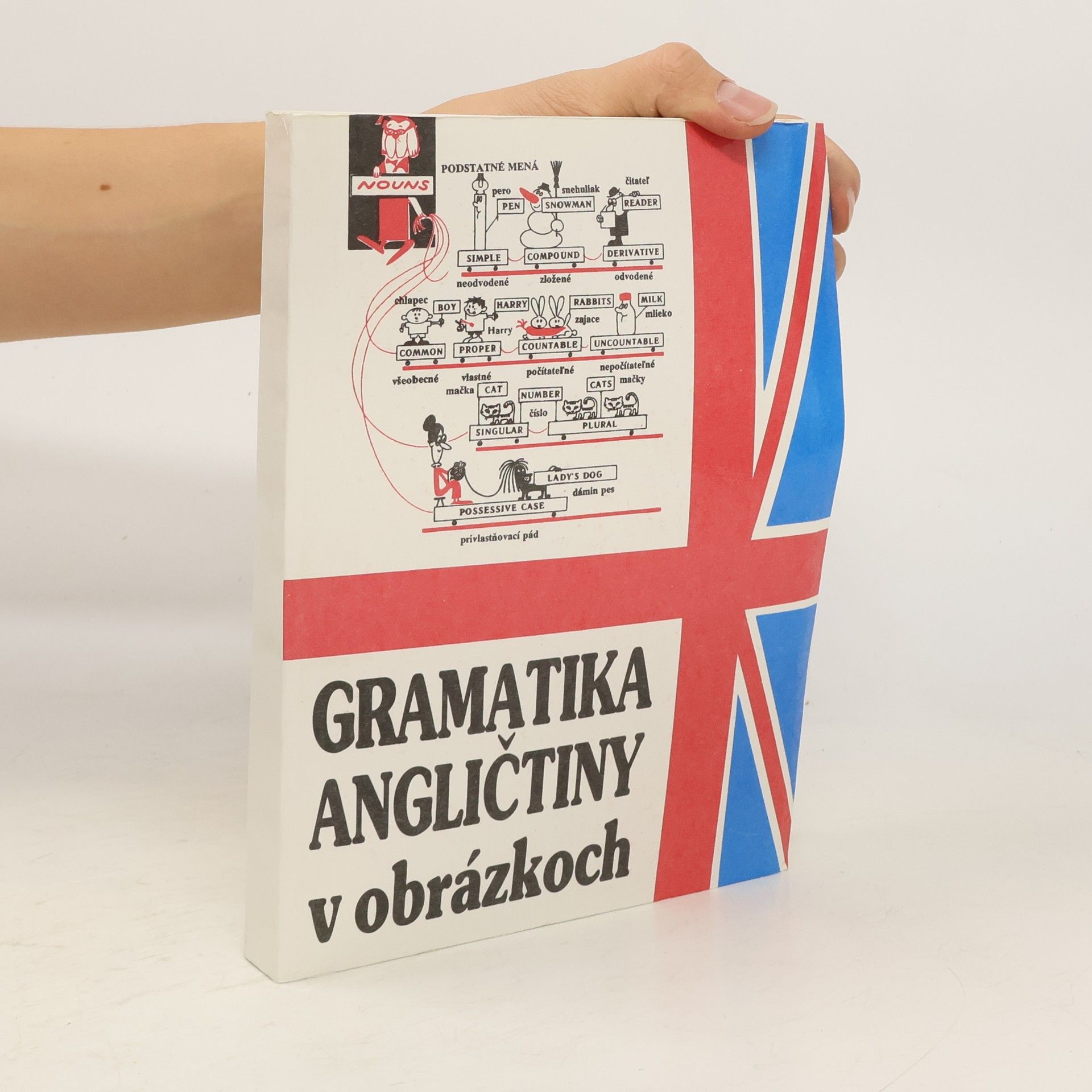 Mark Isaakovič Dubrovin Gramatika angličtiny v obrázkoch