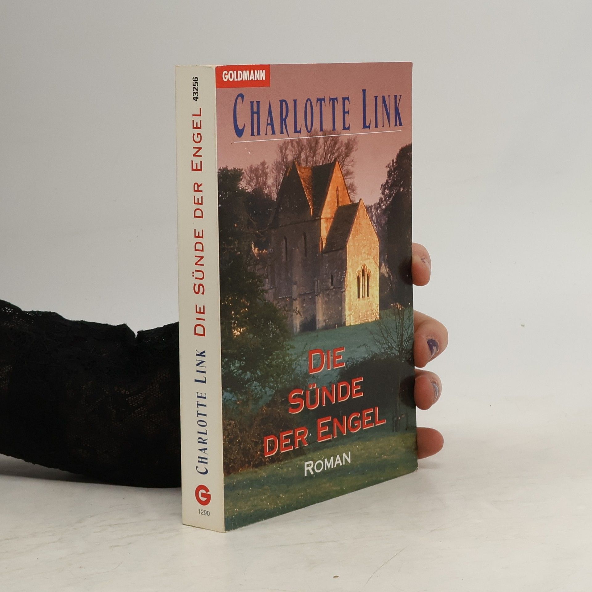 Charlotte Link Die Sünde der Engel