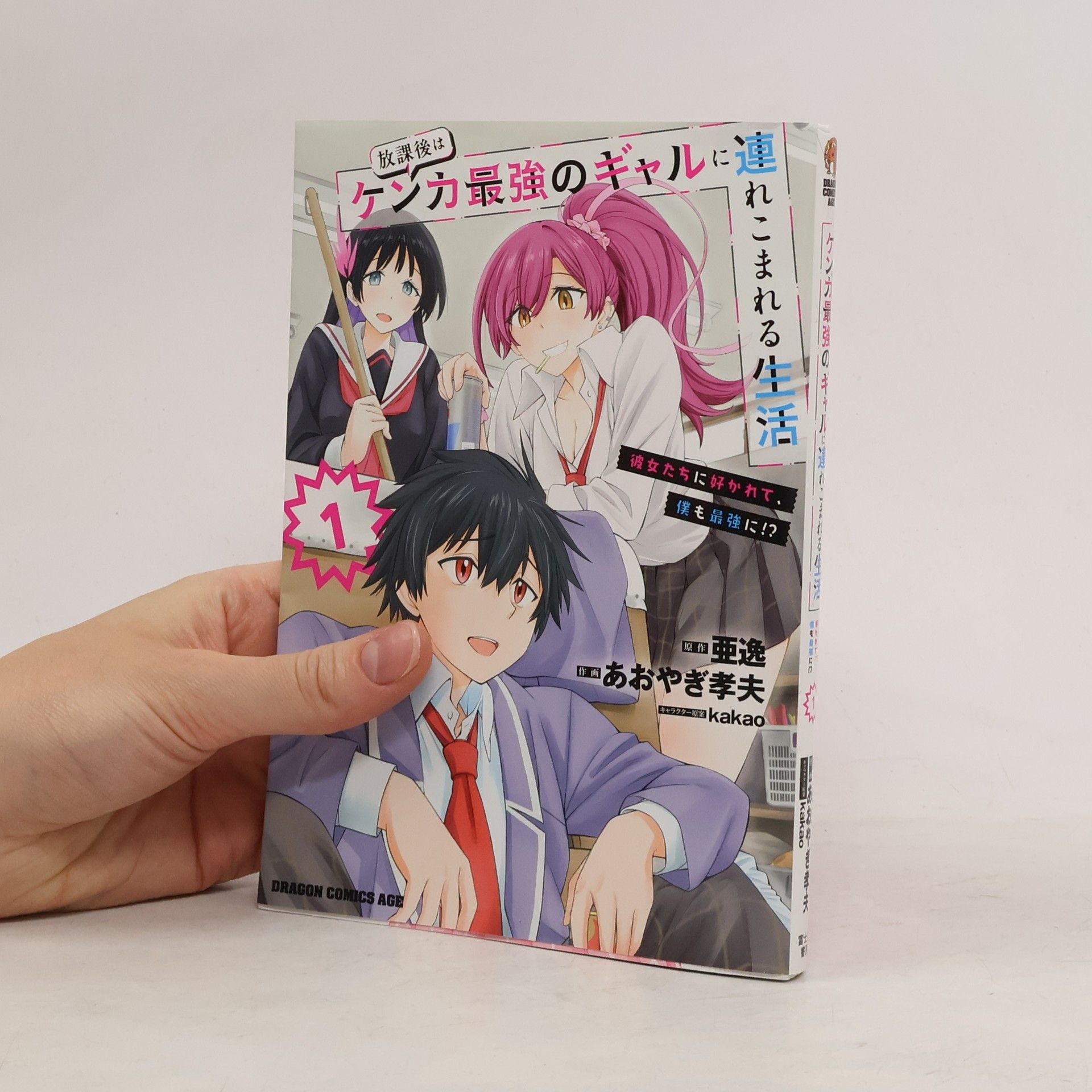 あおやぎ孝夫 放課後はケンカ最強のギャルに連れこまれる生活彼女たちに好かれて、僕も最強に!? 1