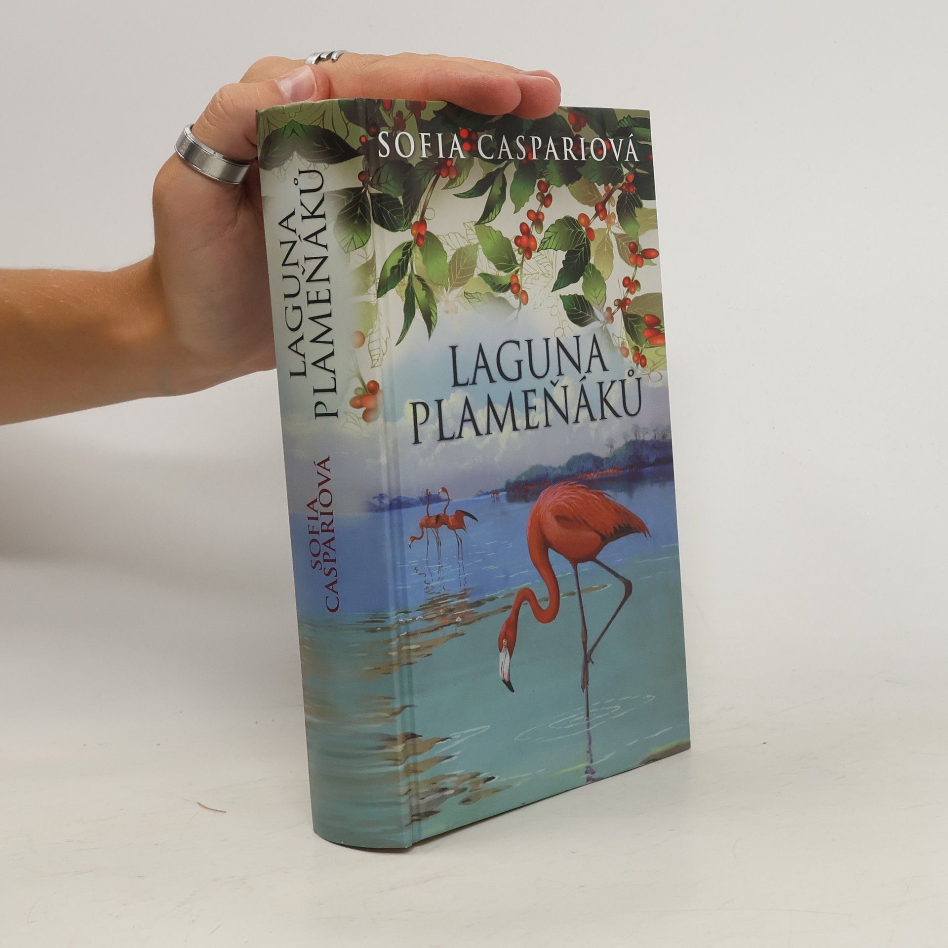 Sofia Caspari Laguna plameňáků