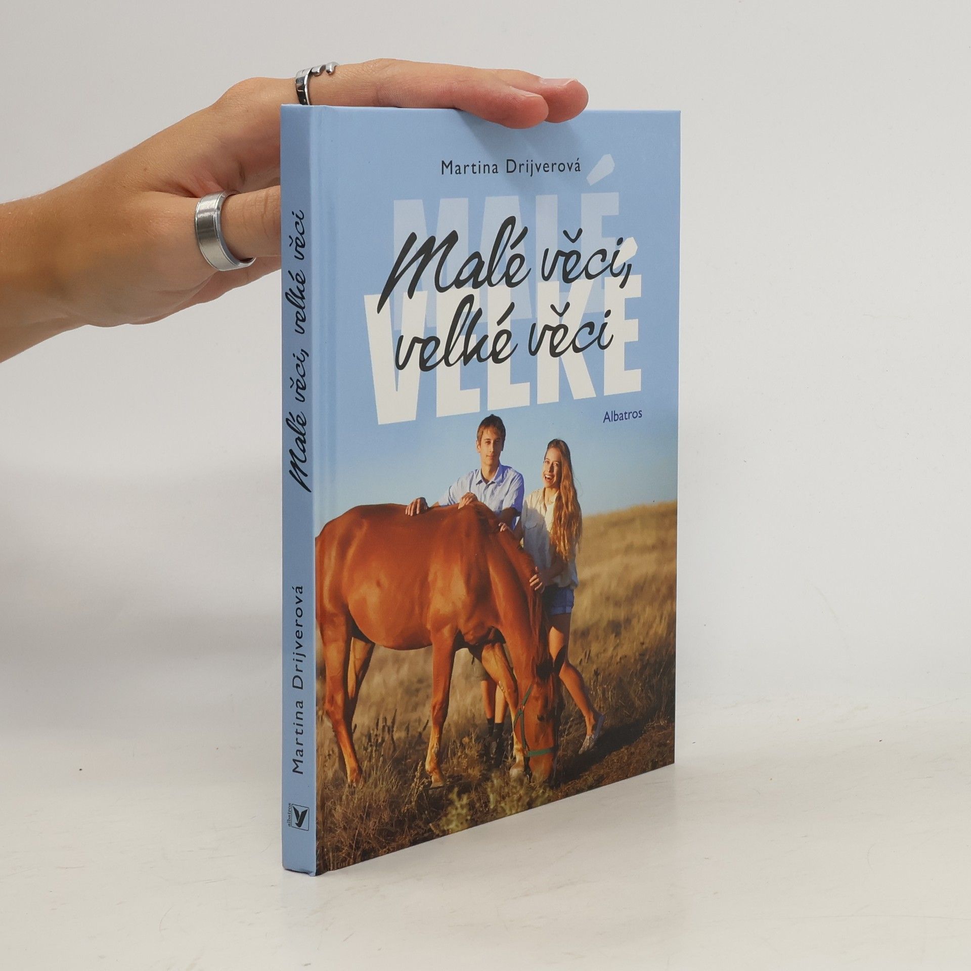 Drijverová Martina Malé věci, velké věci