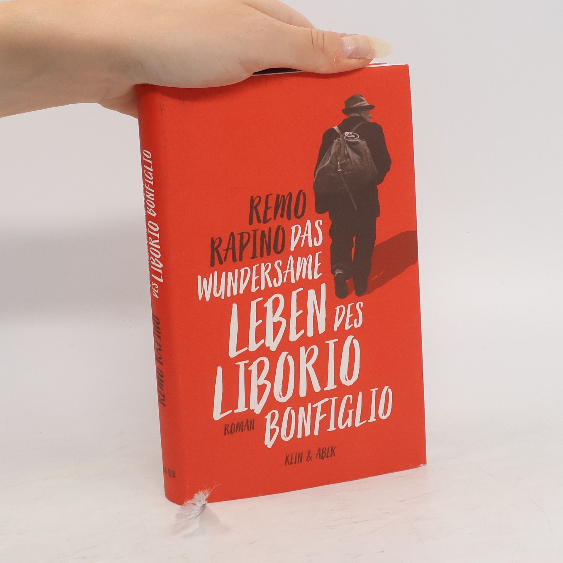Remo Rapino Das wundersame Leben des Liborio Bonfiglio
