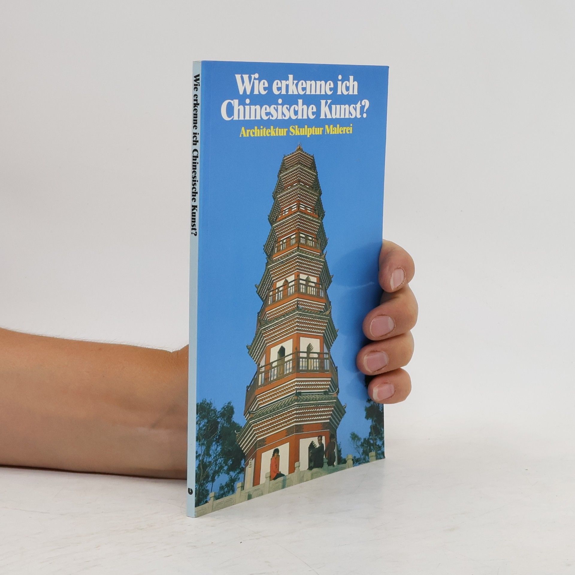 Franca Bedin Wie erkenne ich chinesische Kunst?