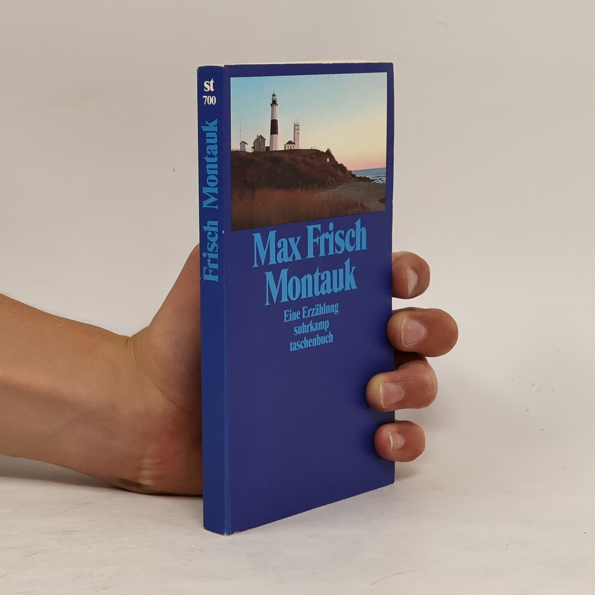 Max Frisch Montauk : eine Erzählung