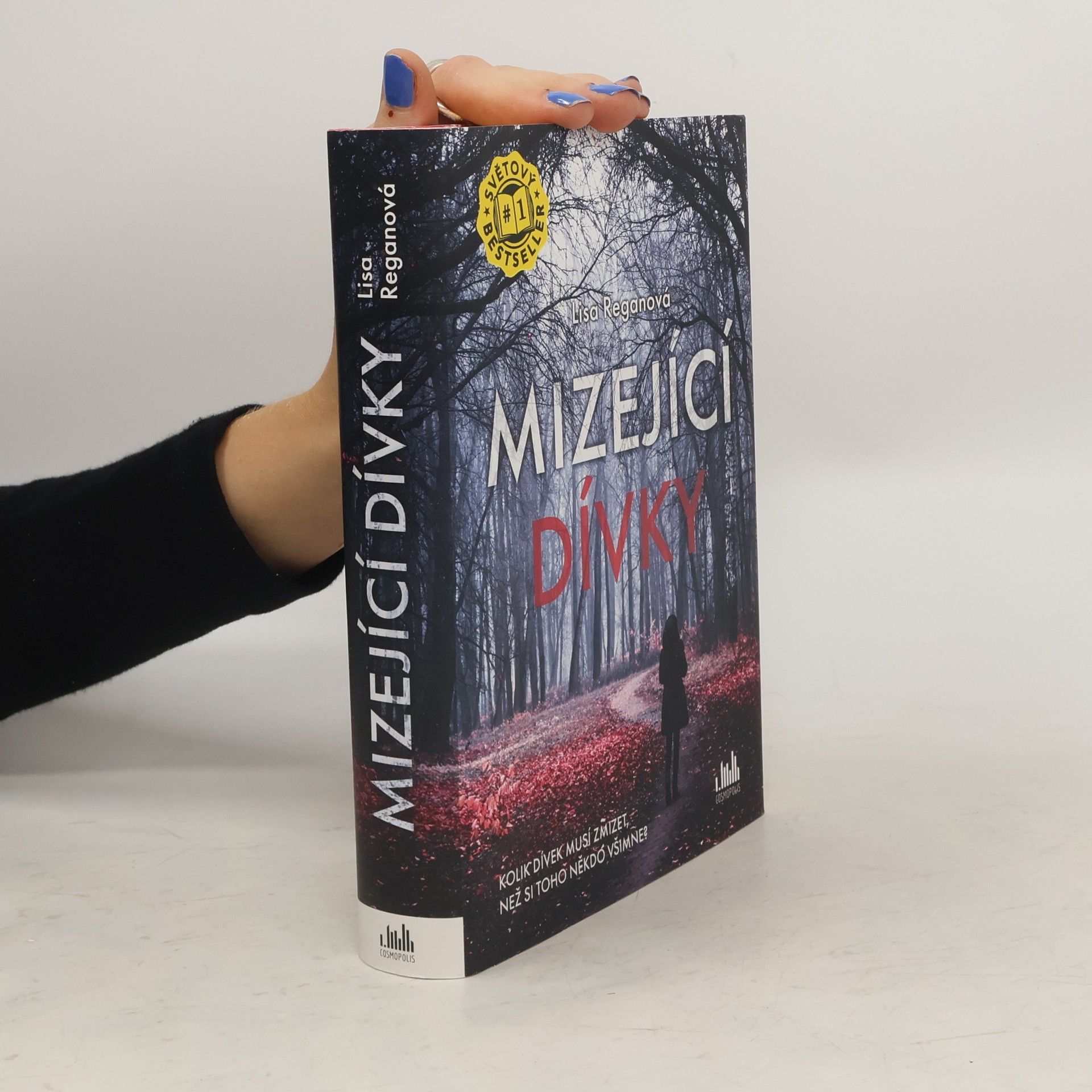 Lisa Regan Mizející dívky