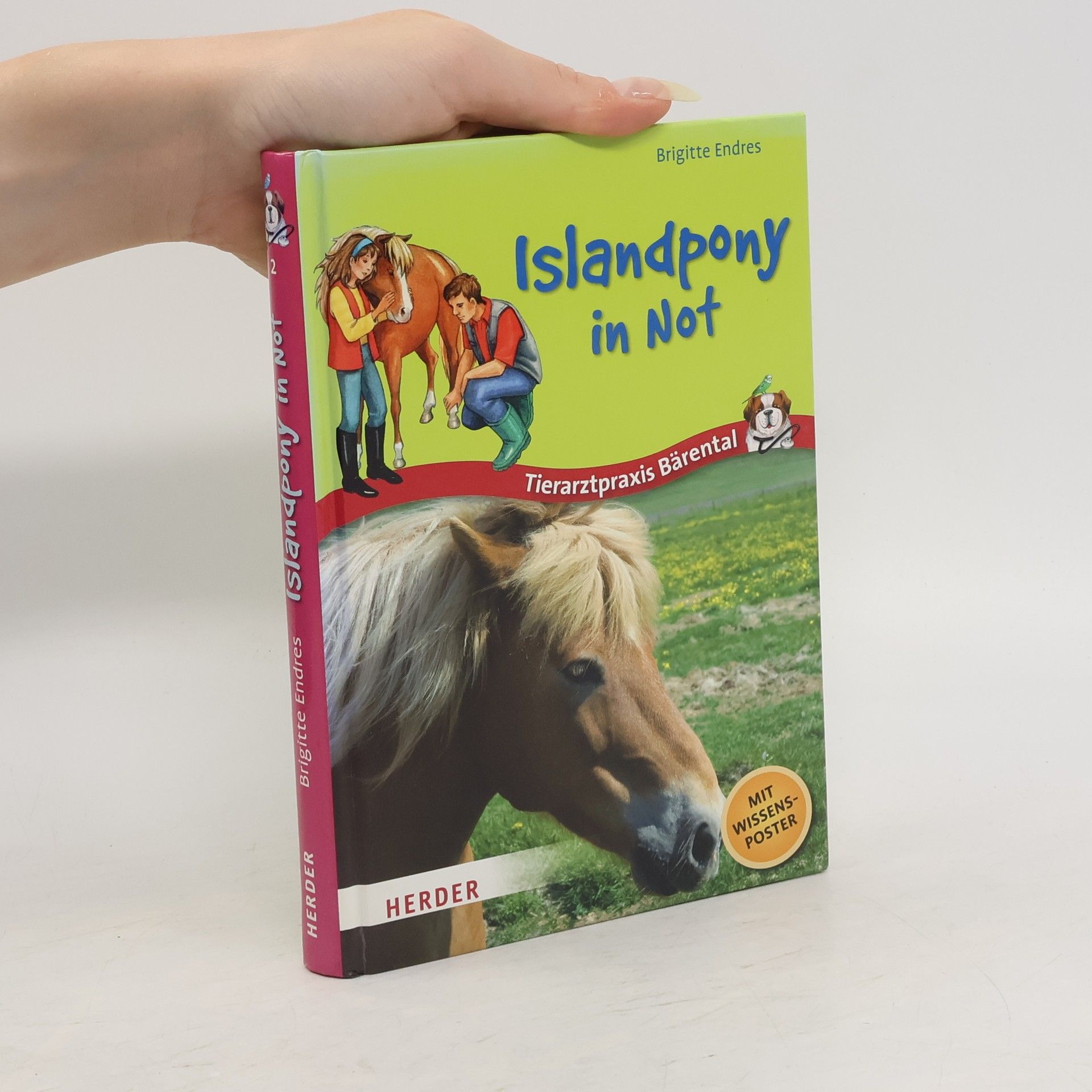 Brigitte Endres Tierarztpraxis Bärental. Islandpony in Not