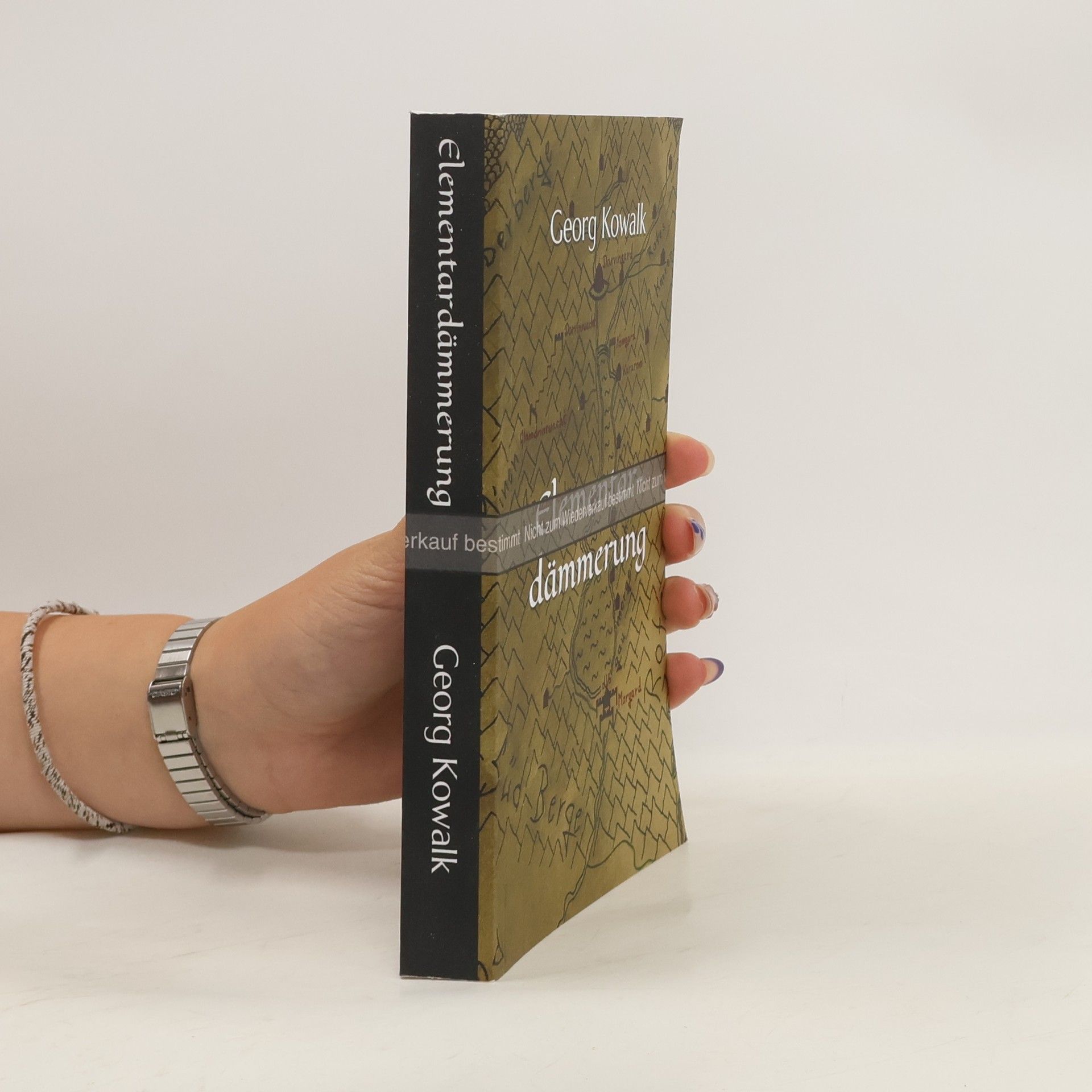 Georg Kowalk Elementardämmerung