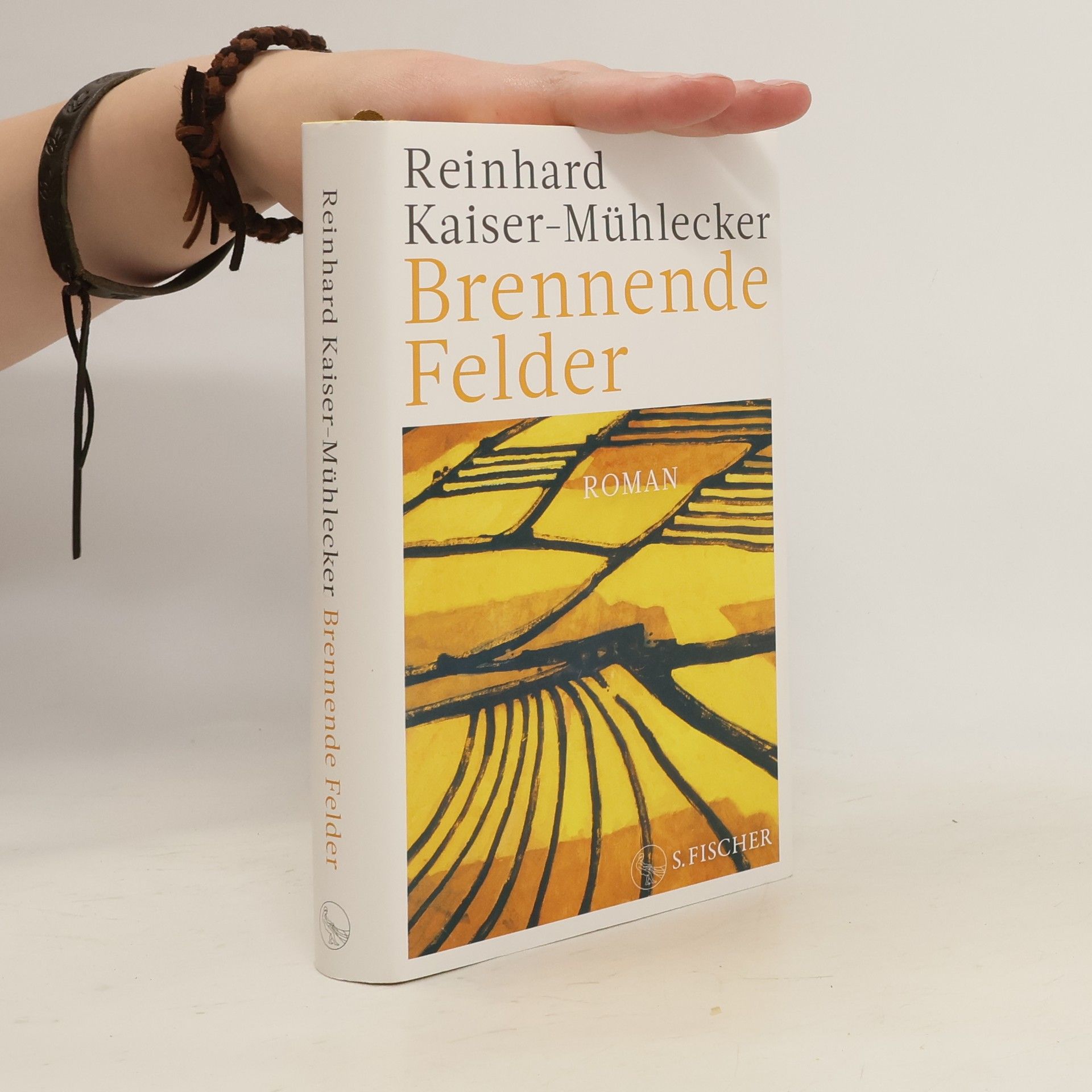 Reinhard Kaiser Brennende Felder