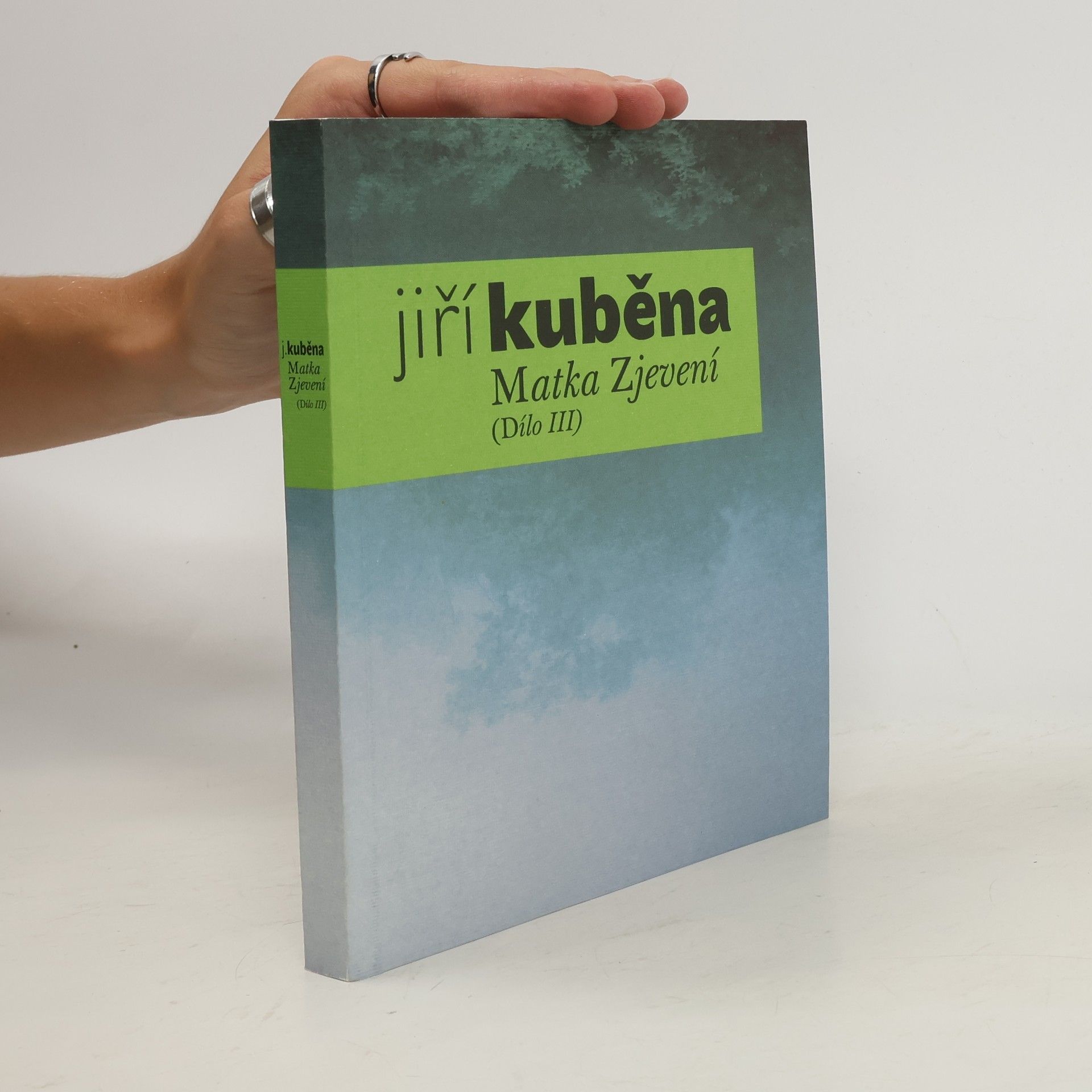 Jiří Kuběna Matka Zjevení