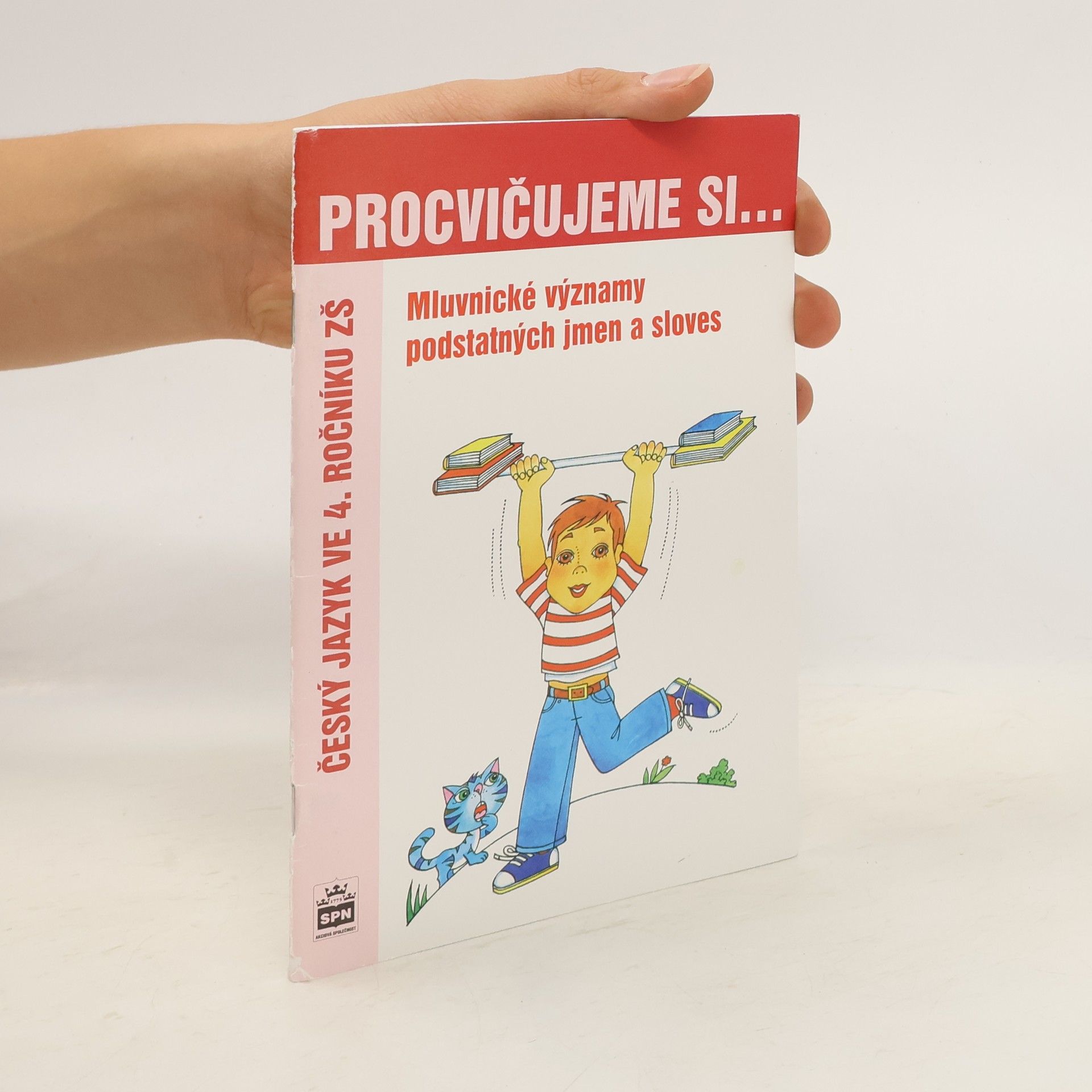 Autorenkollektiv Mluvnické kategorie podstatných jmen a sloves