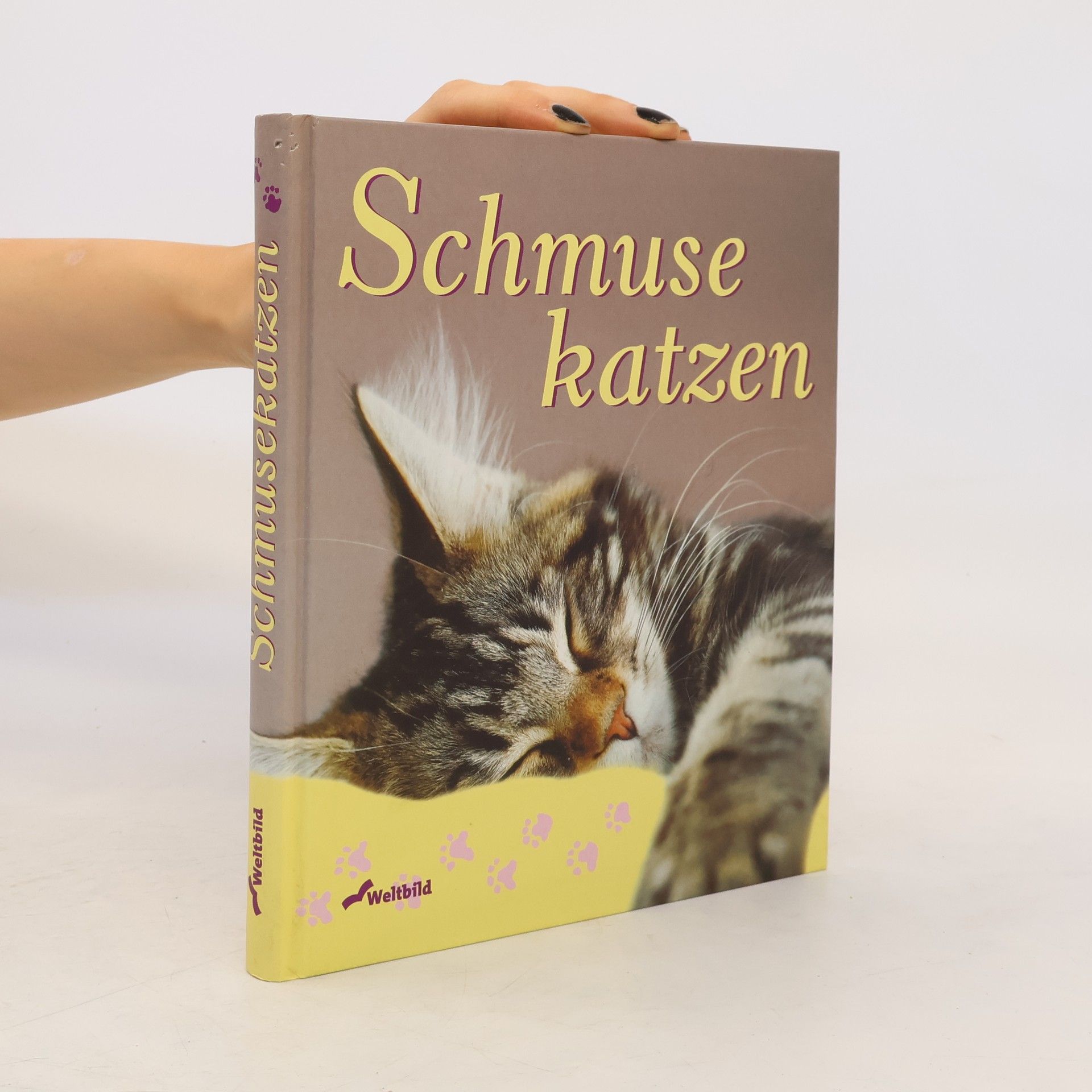 Schmuse katzen