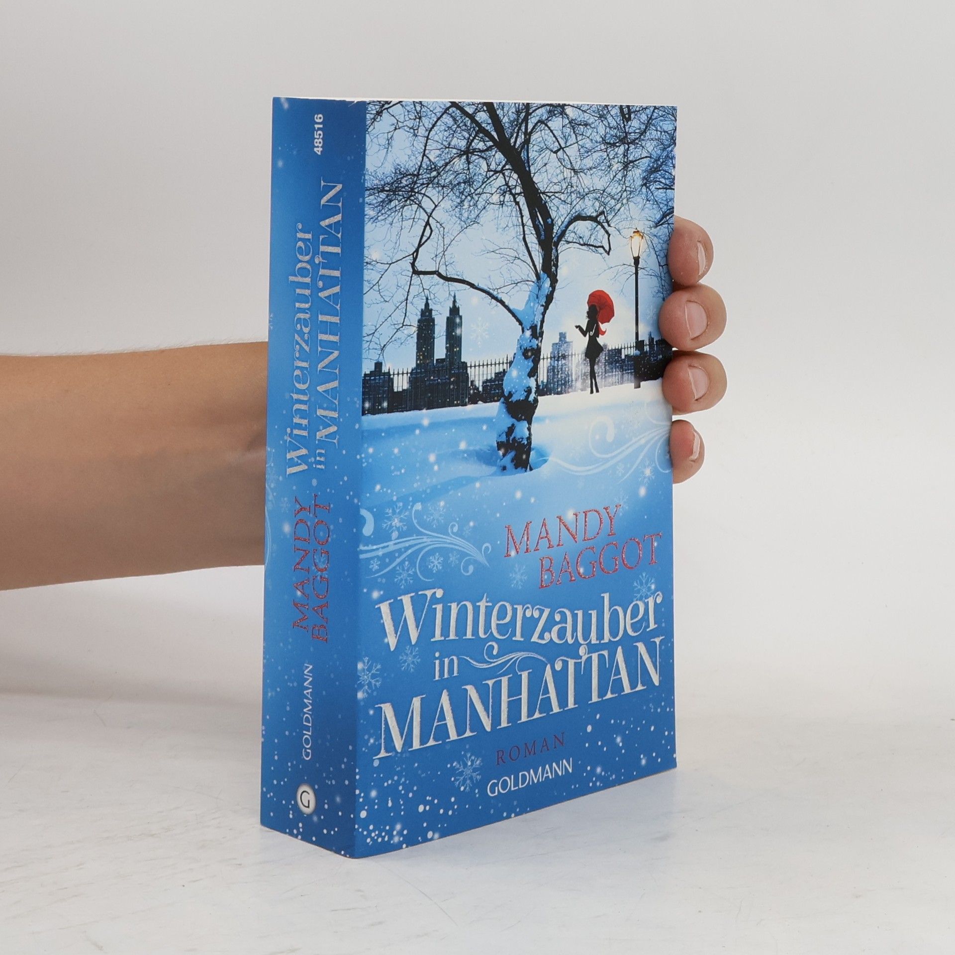 Mandy Baggot Winterzauber in Manhattan