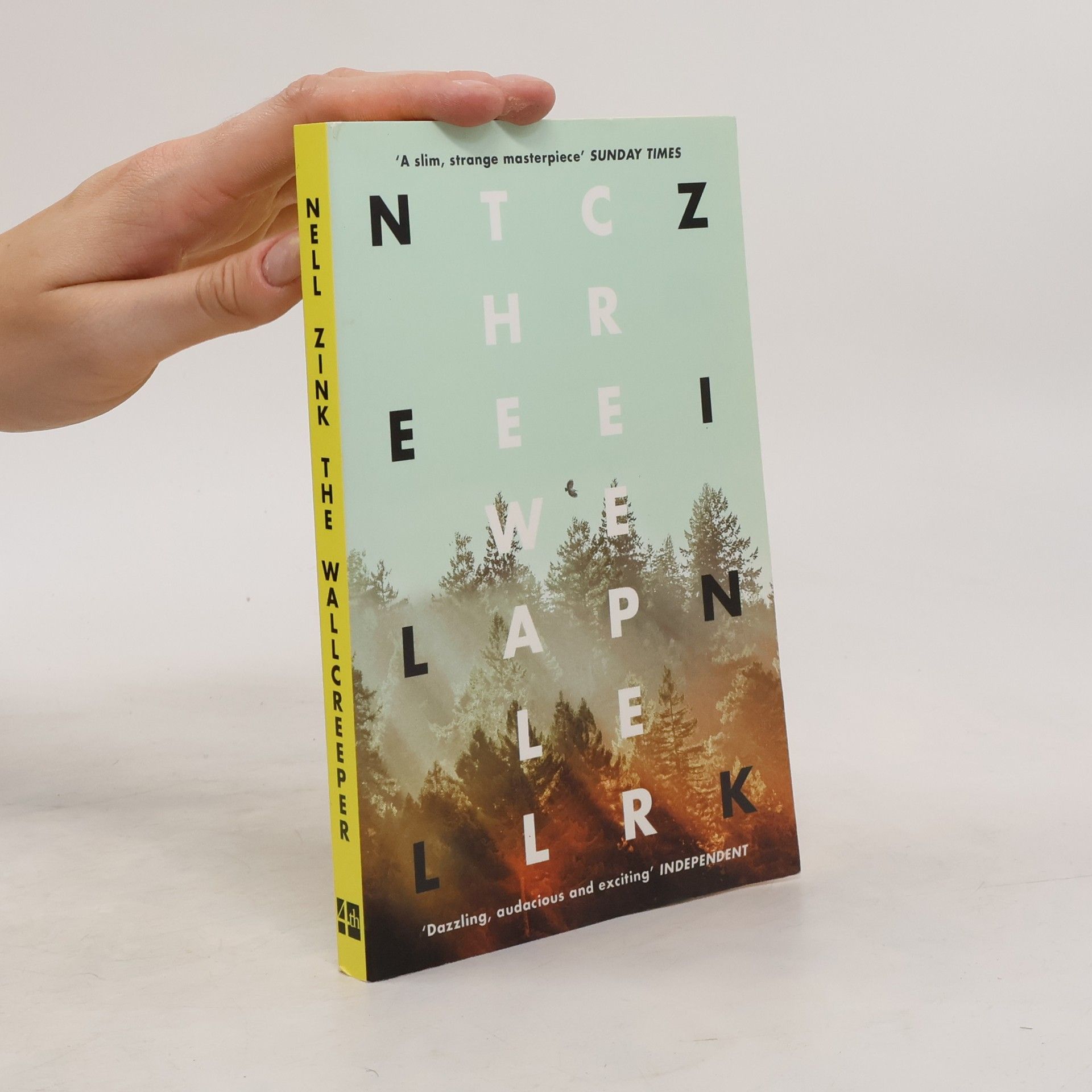 Nell Zink The Wallcreeper