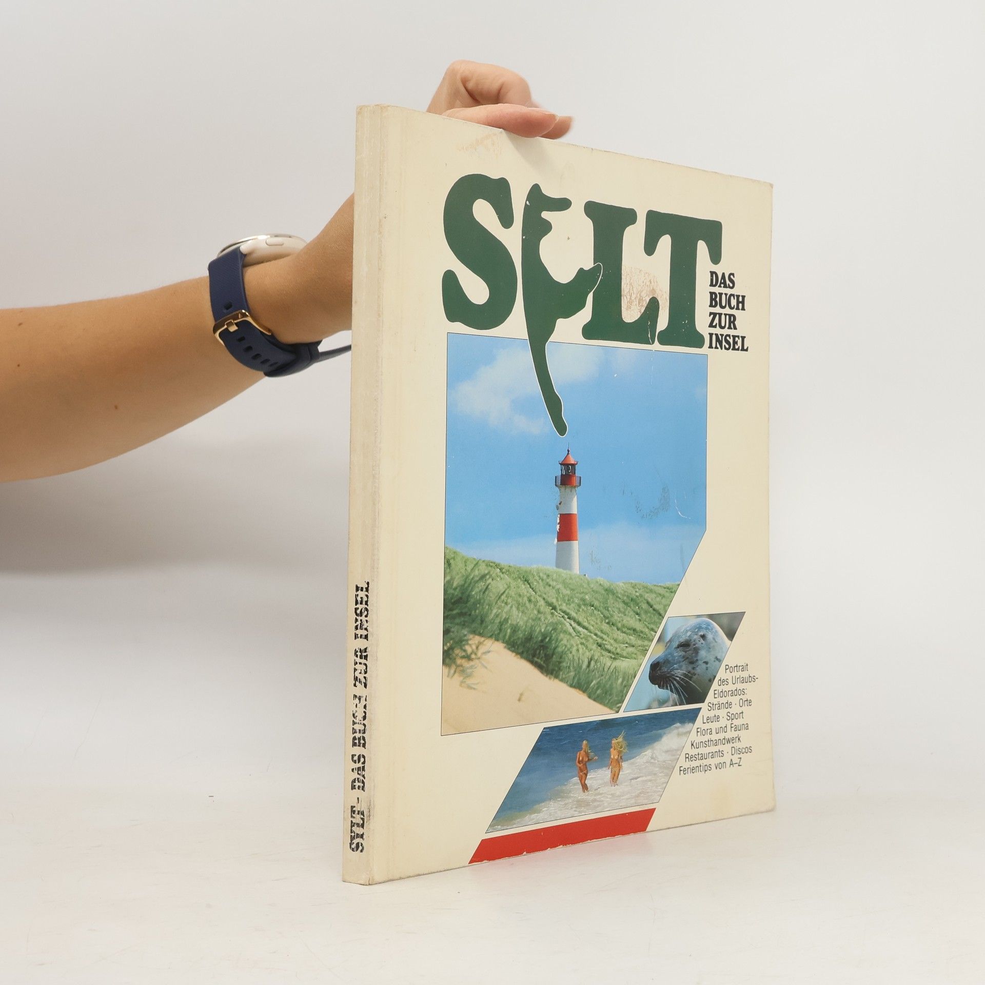 Collectif d'auteurs Sylt. Das Buch zur Insel