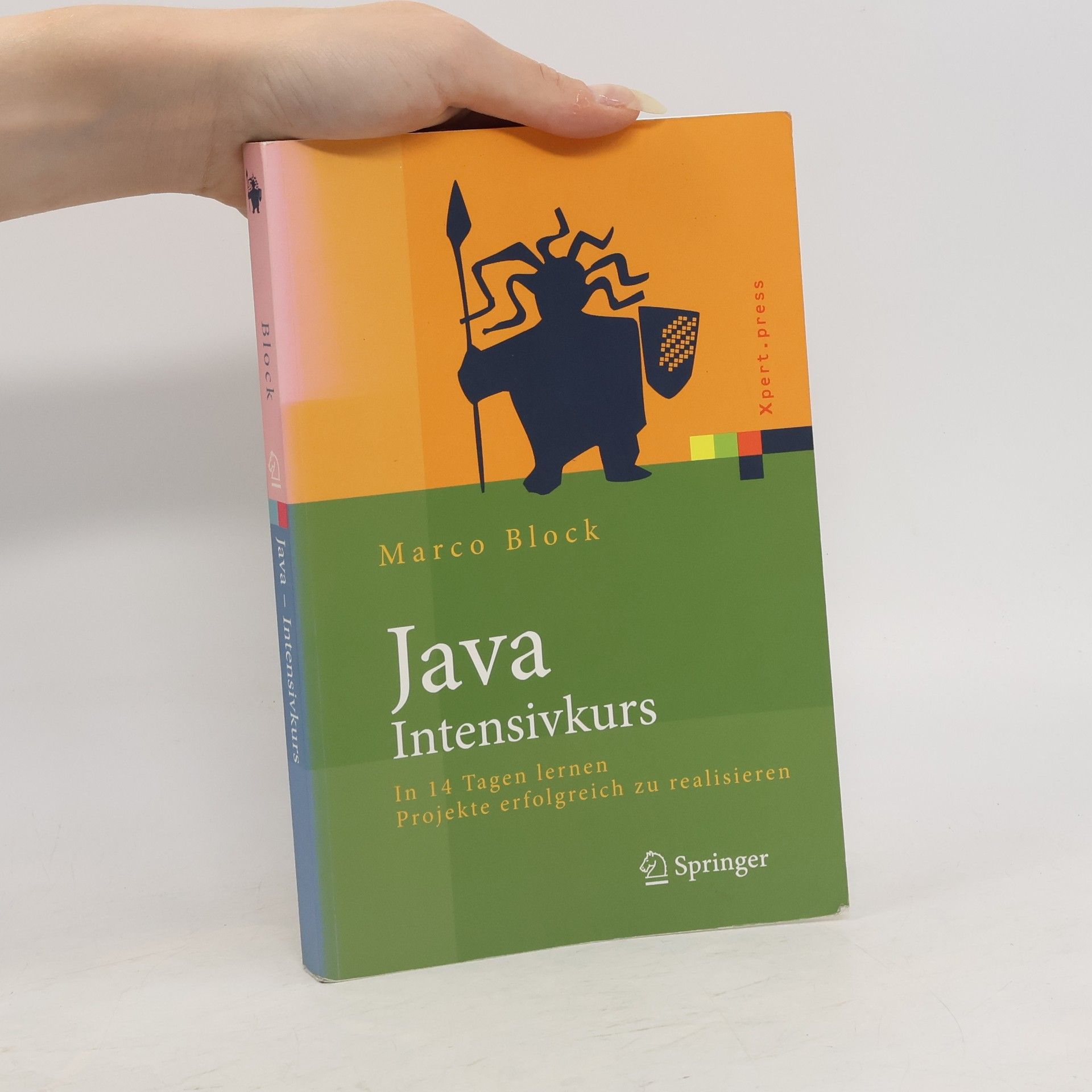 Marco Block Berlitz Java-Intensivkurs