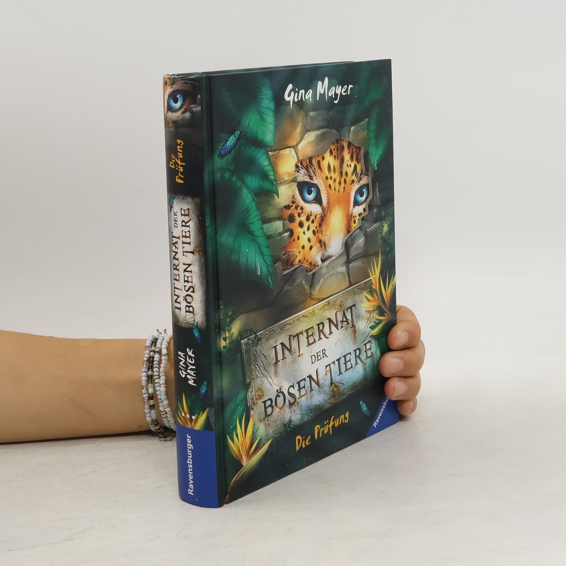 Gina Mayer Das Internat der bösen Tiere