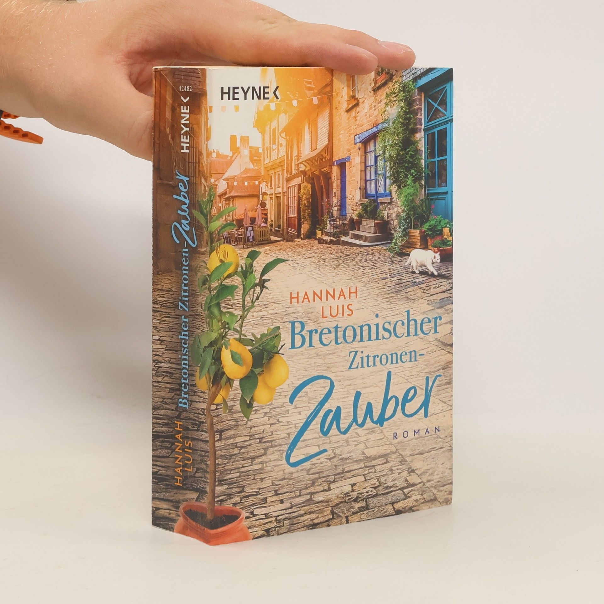 Hannah Luis Bretonischer Zitronen-Zauber