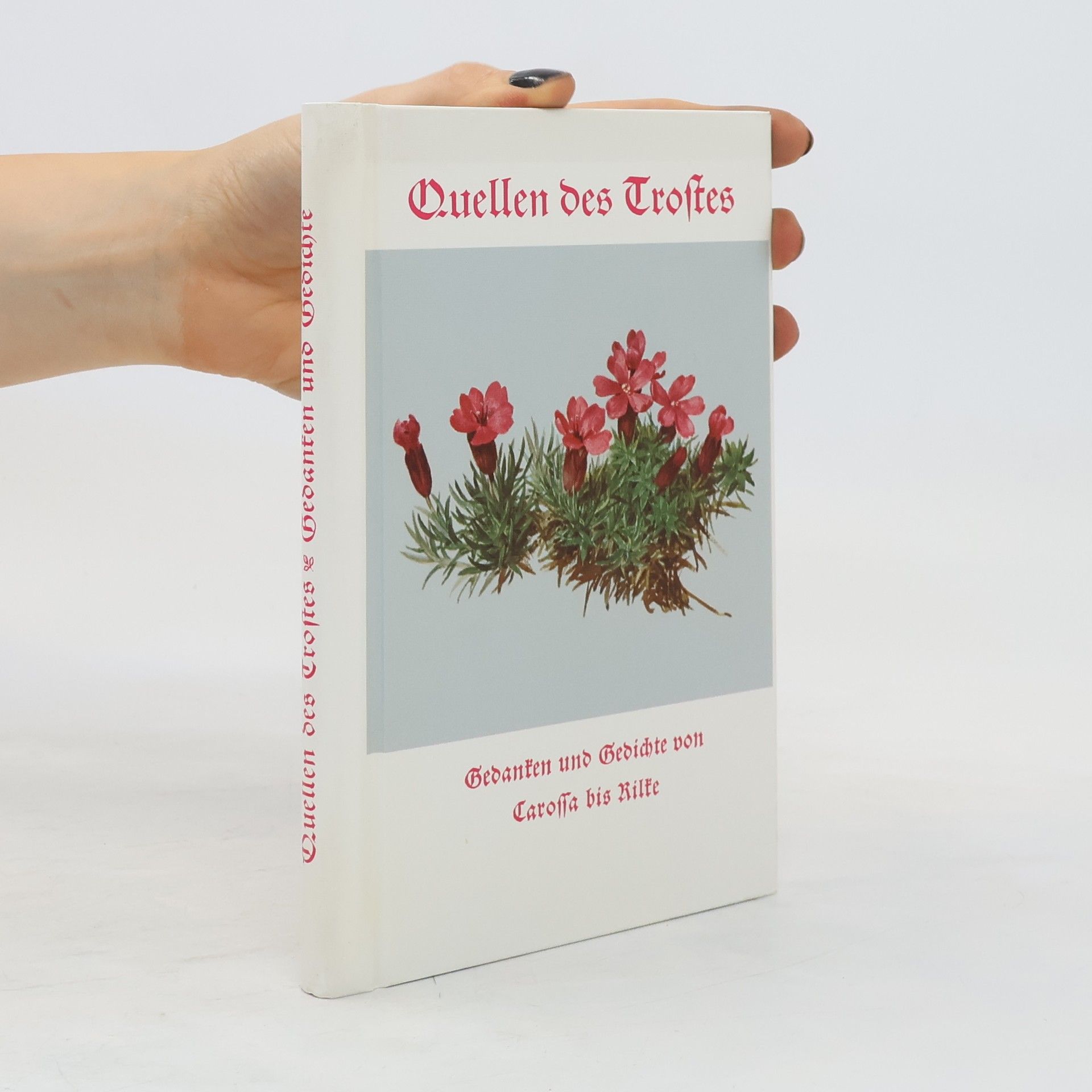 Eugen Hettinger Quellen des Trostes